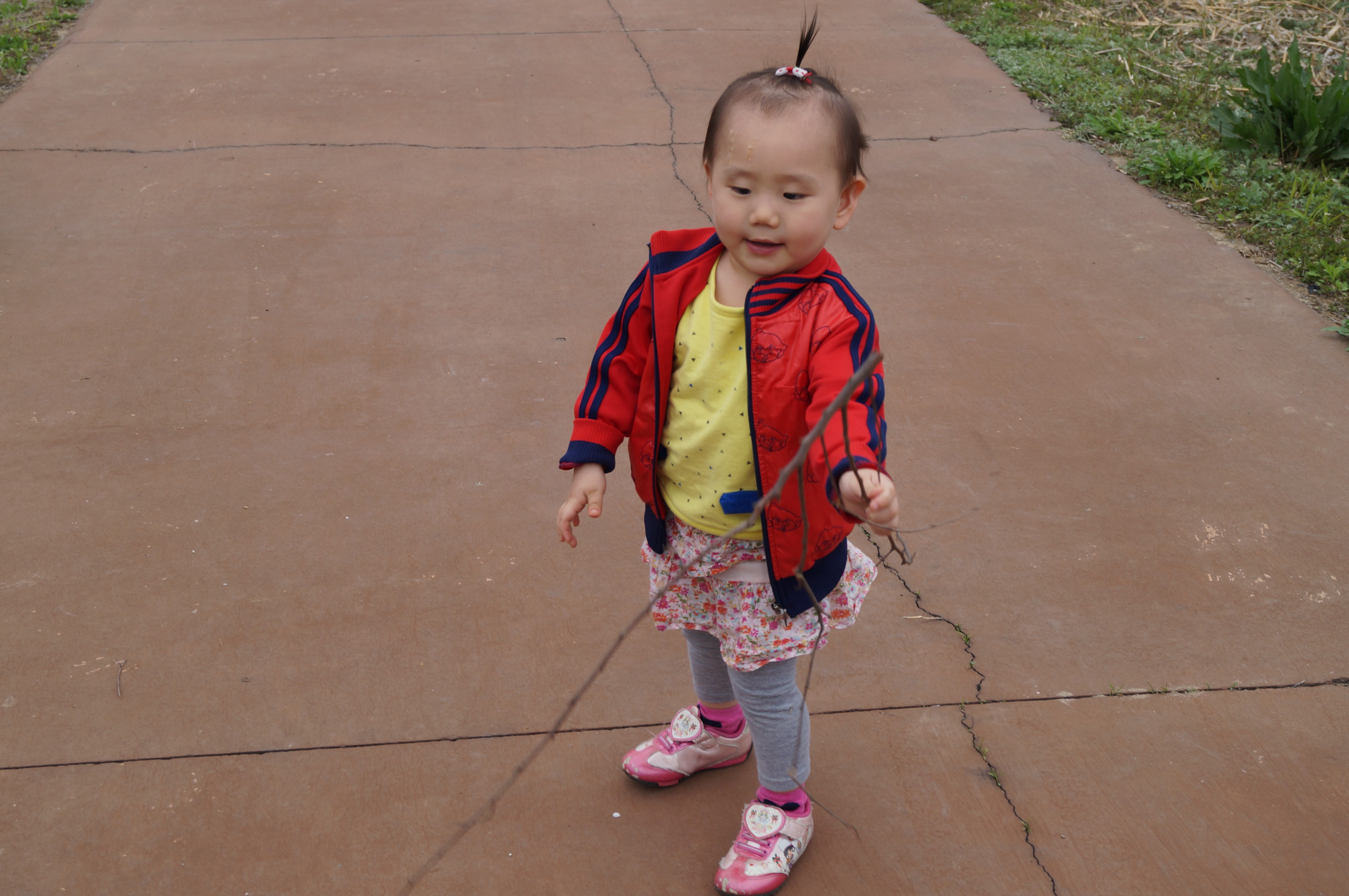 DSC01053.JPG