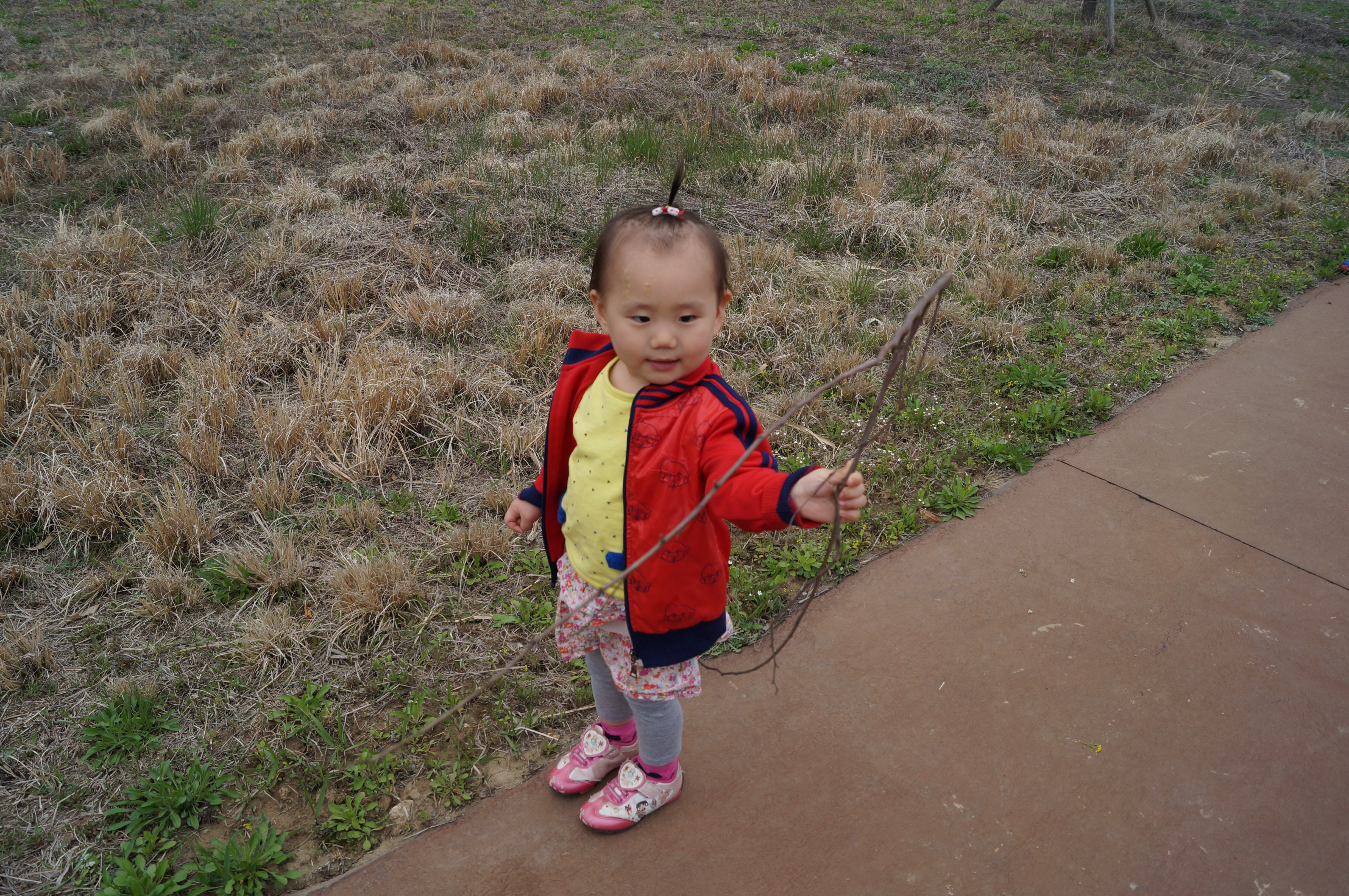 DSC01055.JPG