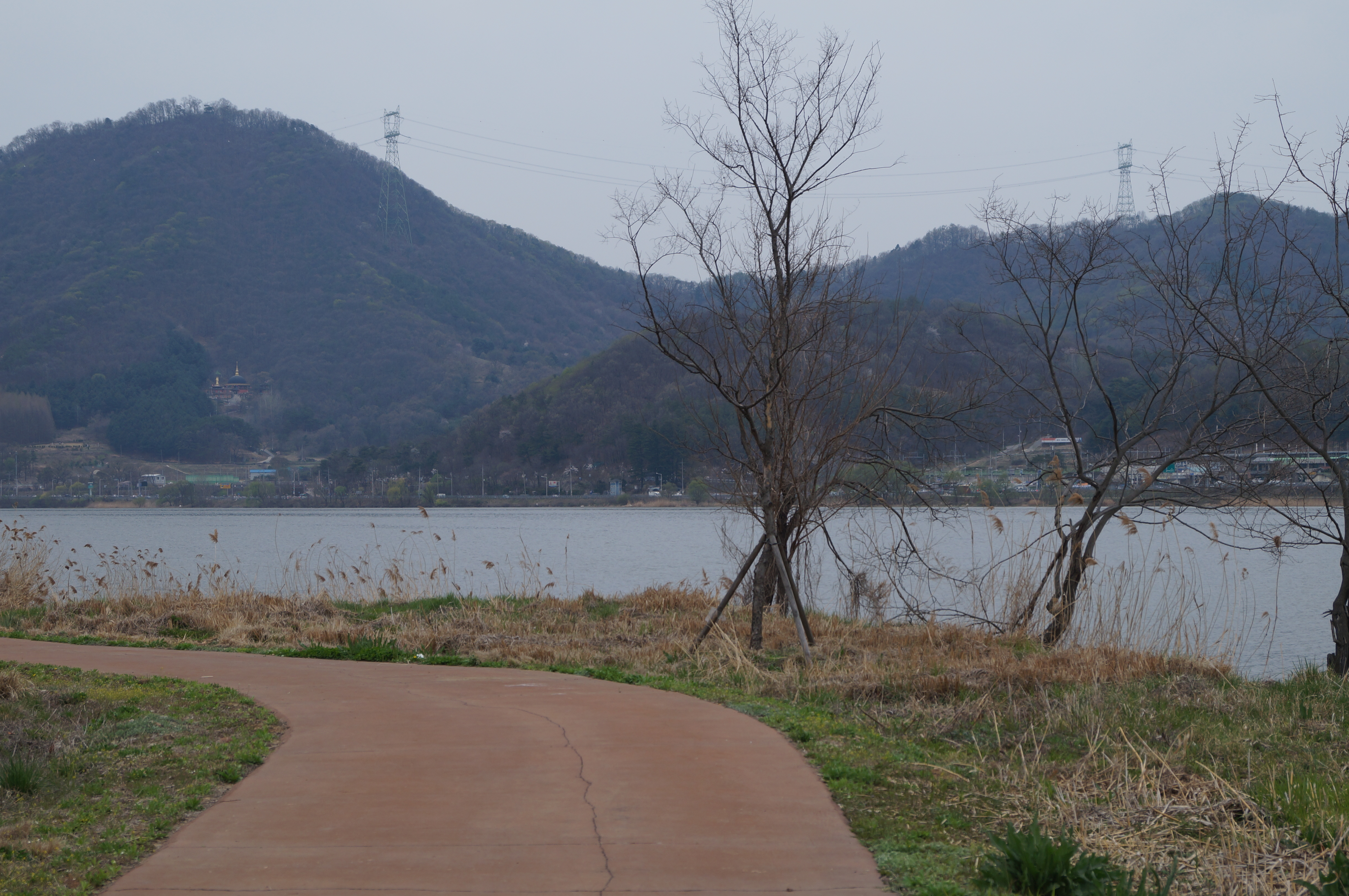 DSC01068.JPG