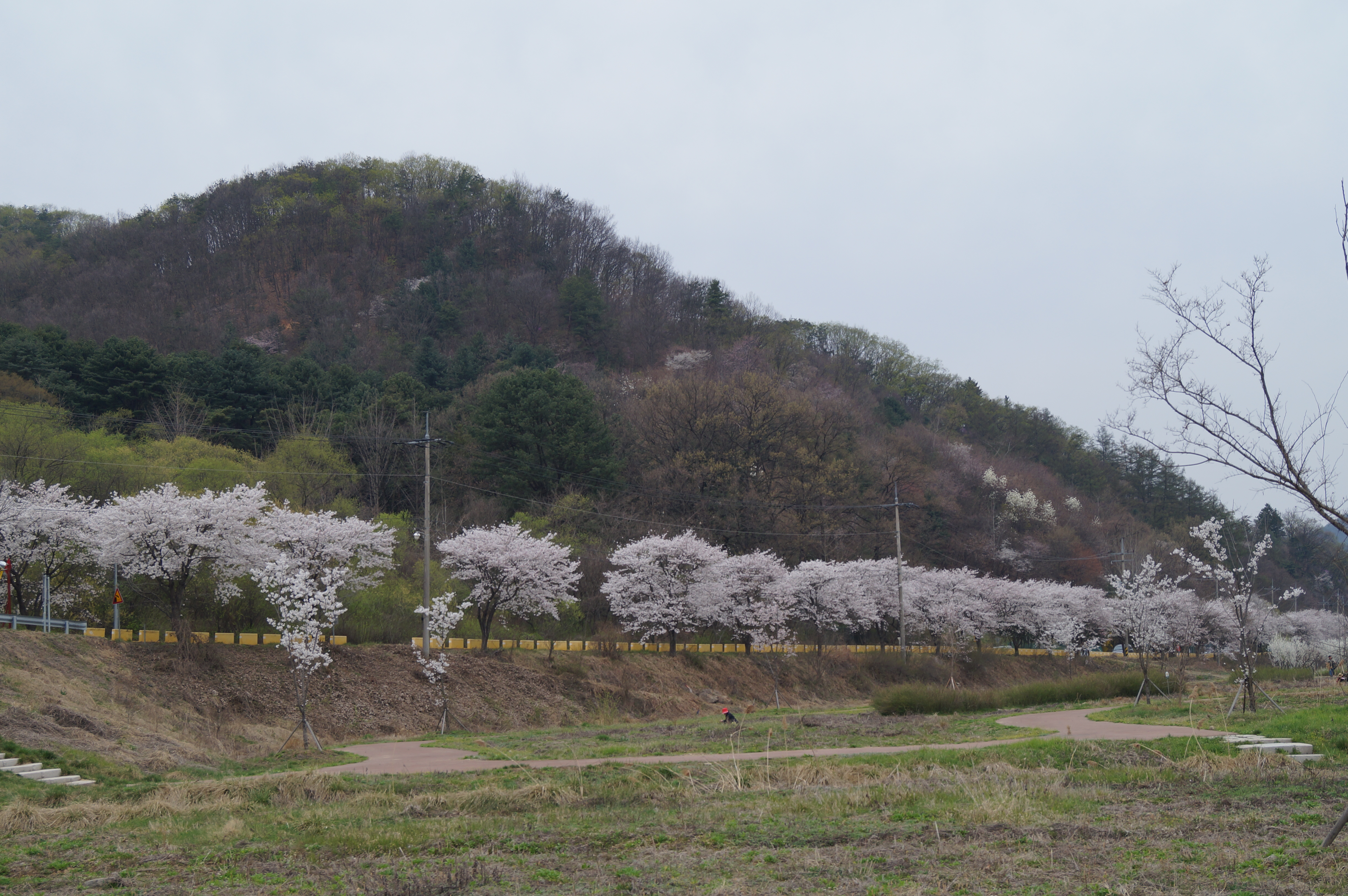 DSC01069.JPG