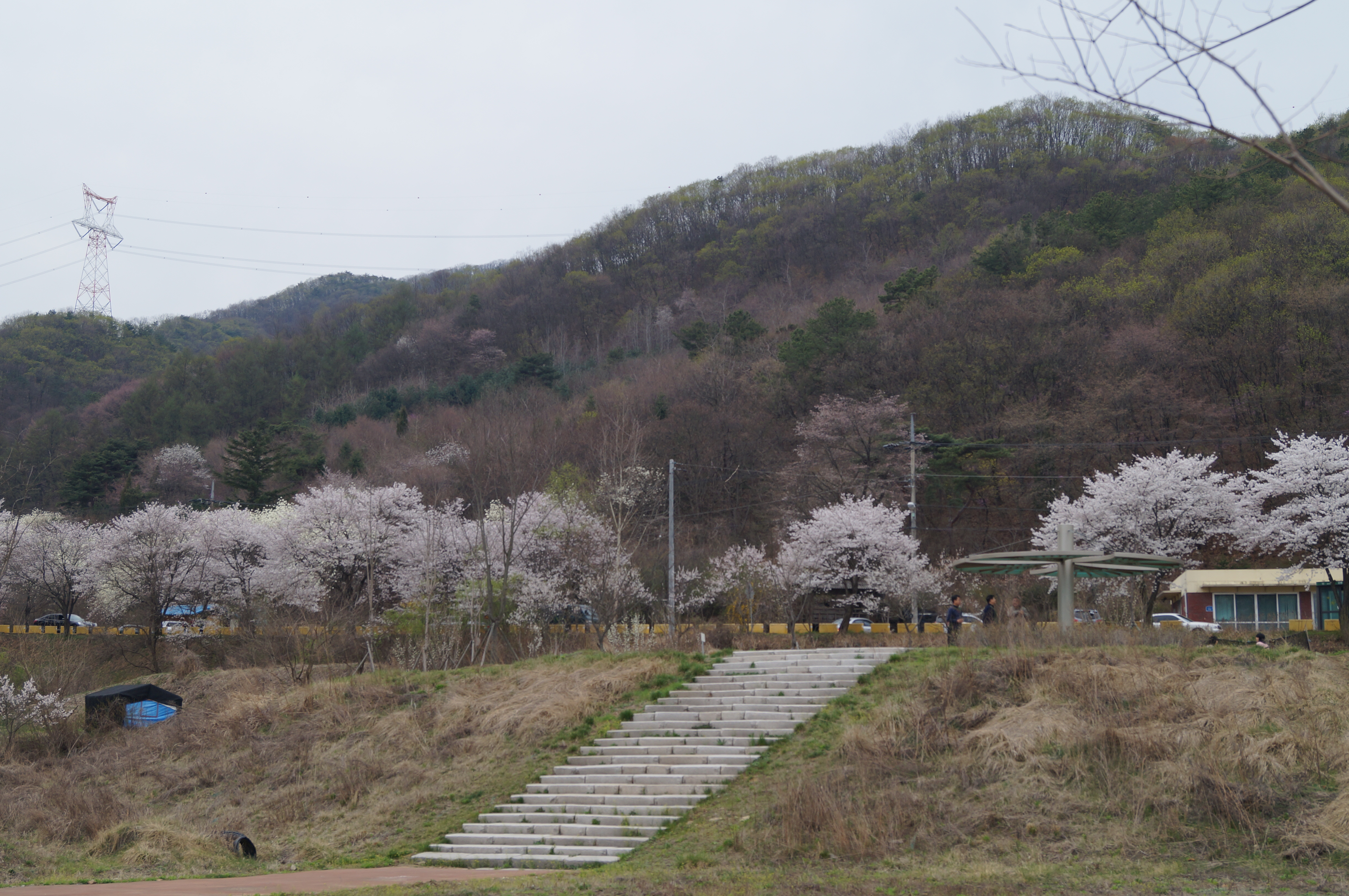 DSC01070.JPG