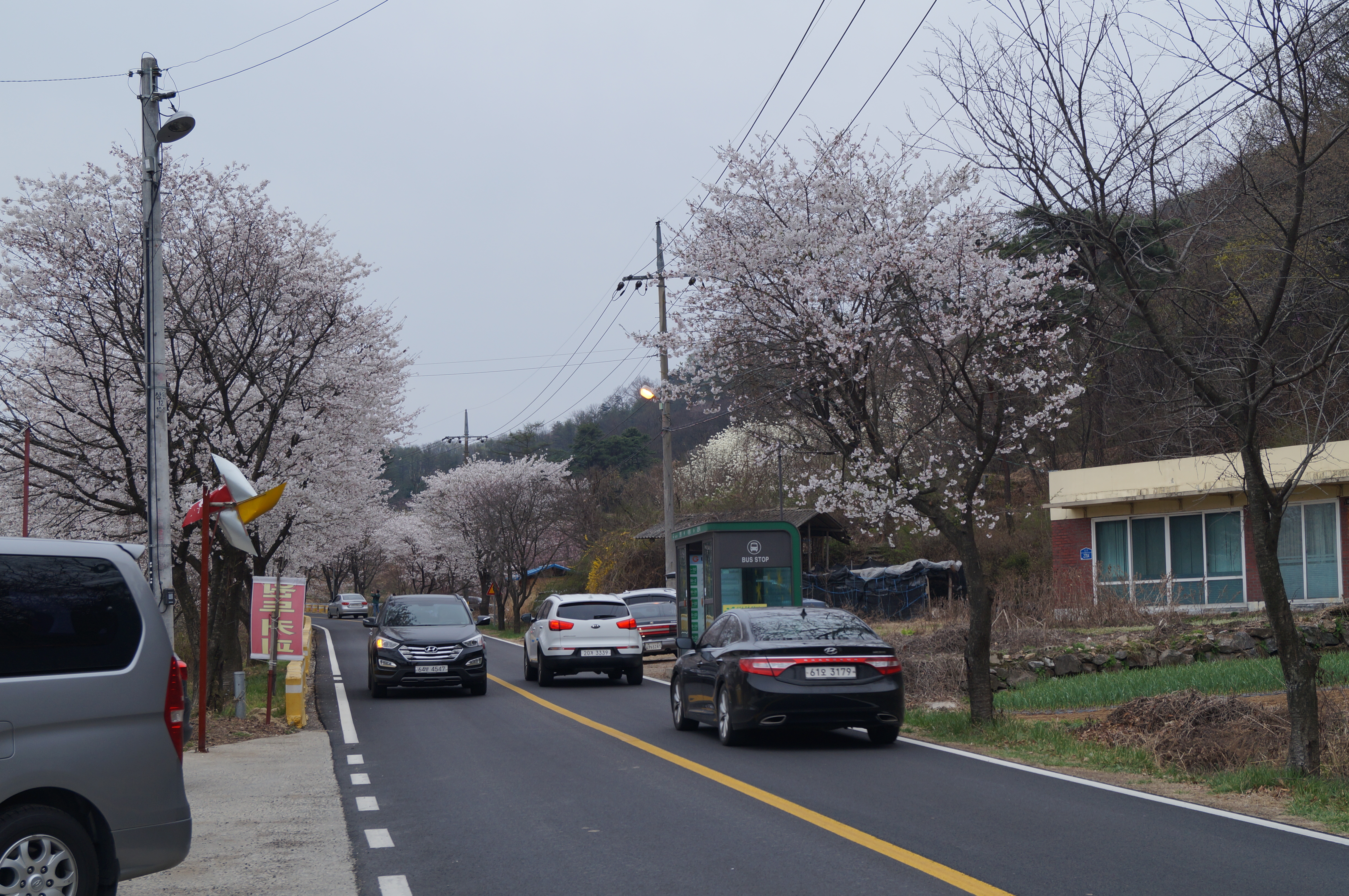 DSC01080.JPG