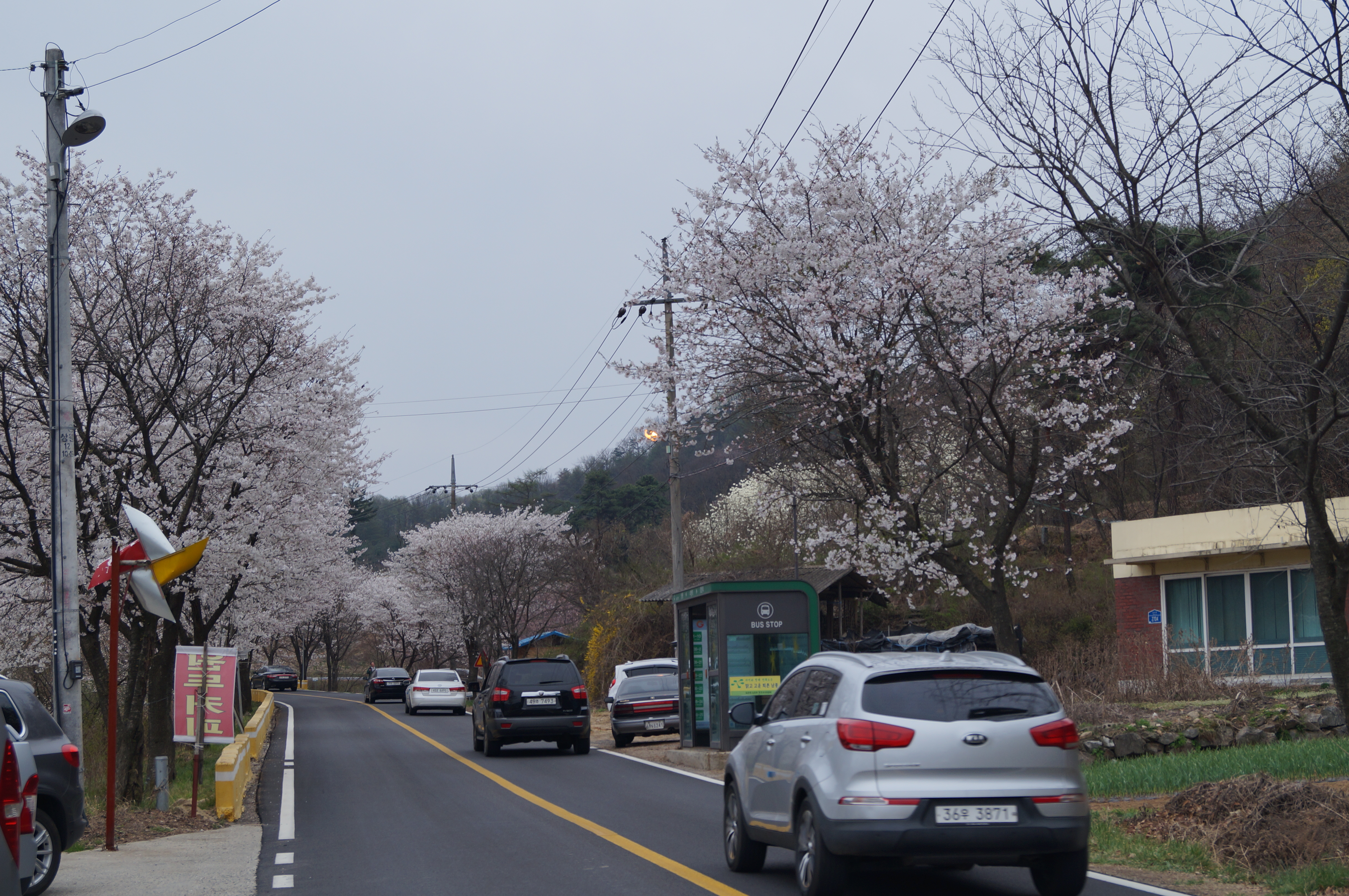DSC01082.JPG
