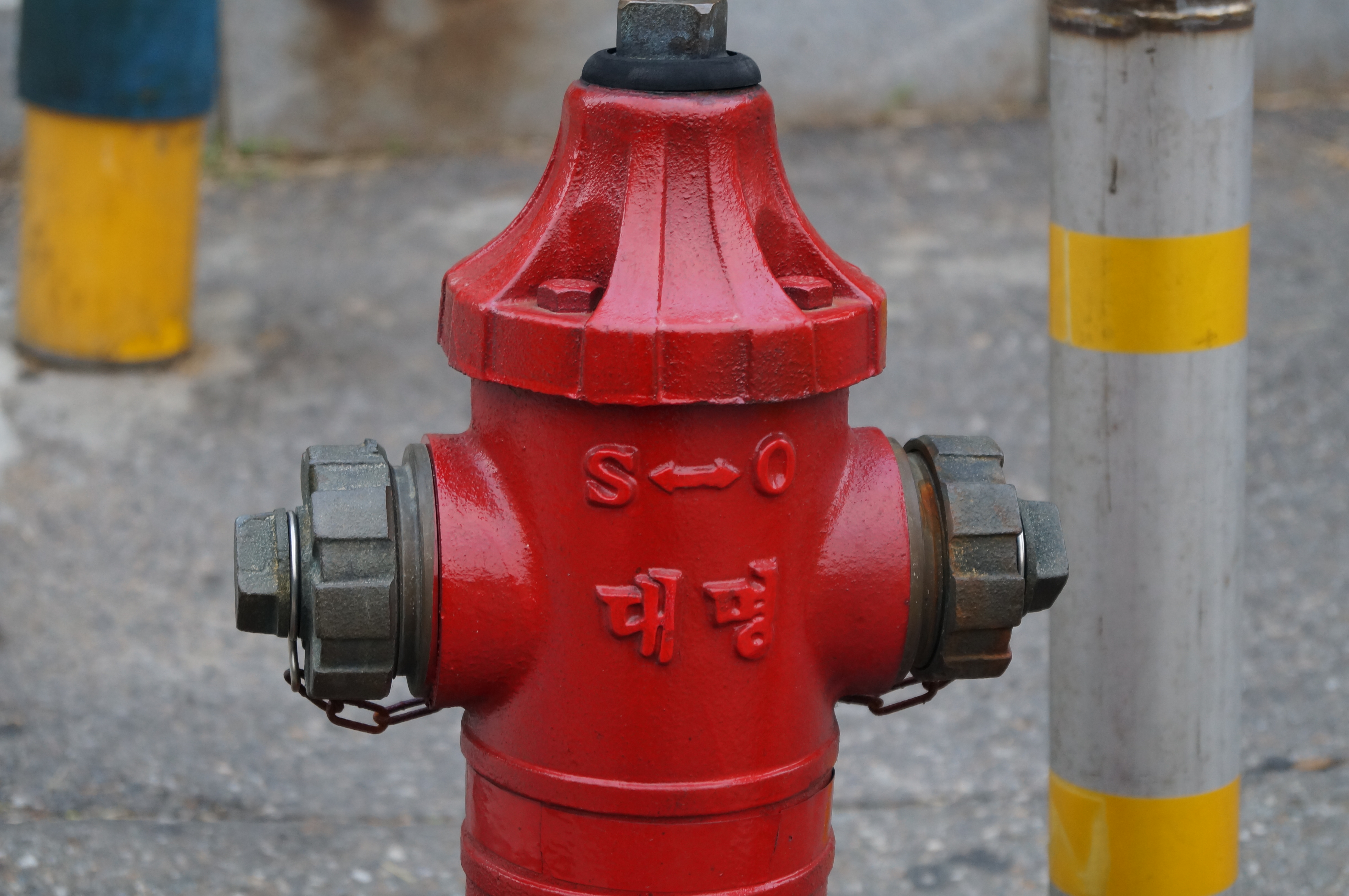 DSC02565.JPG