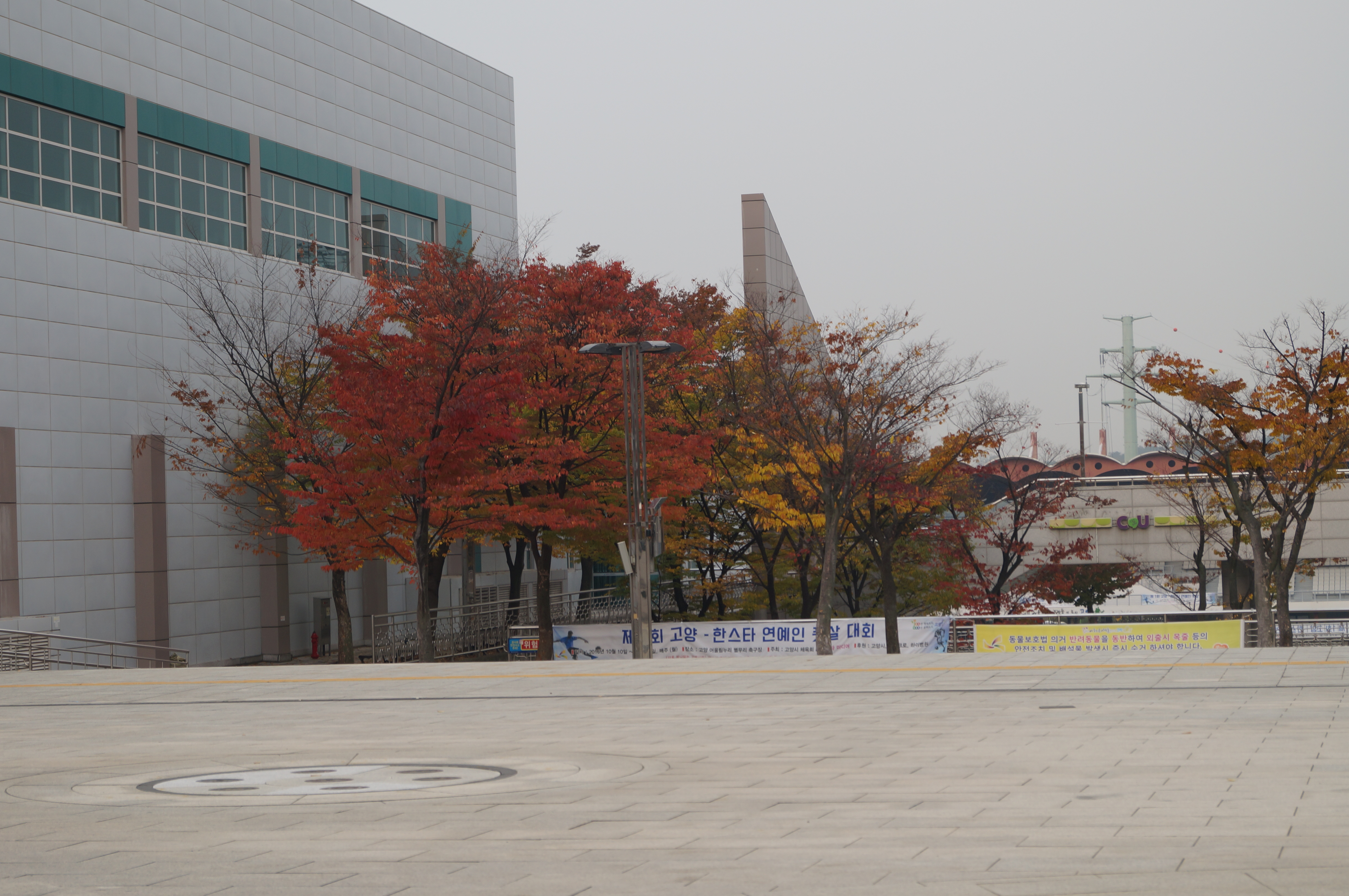 DSC02579.JPG