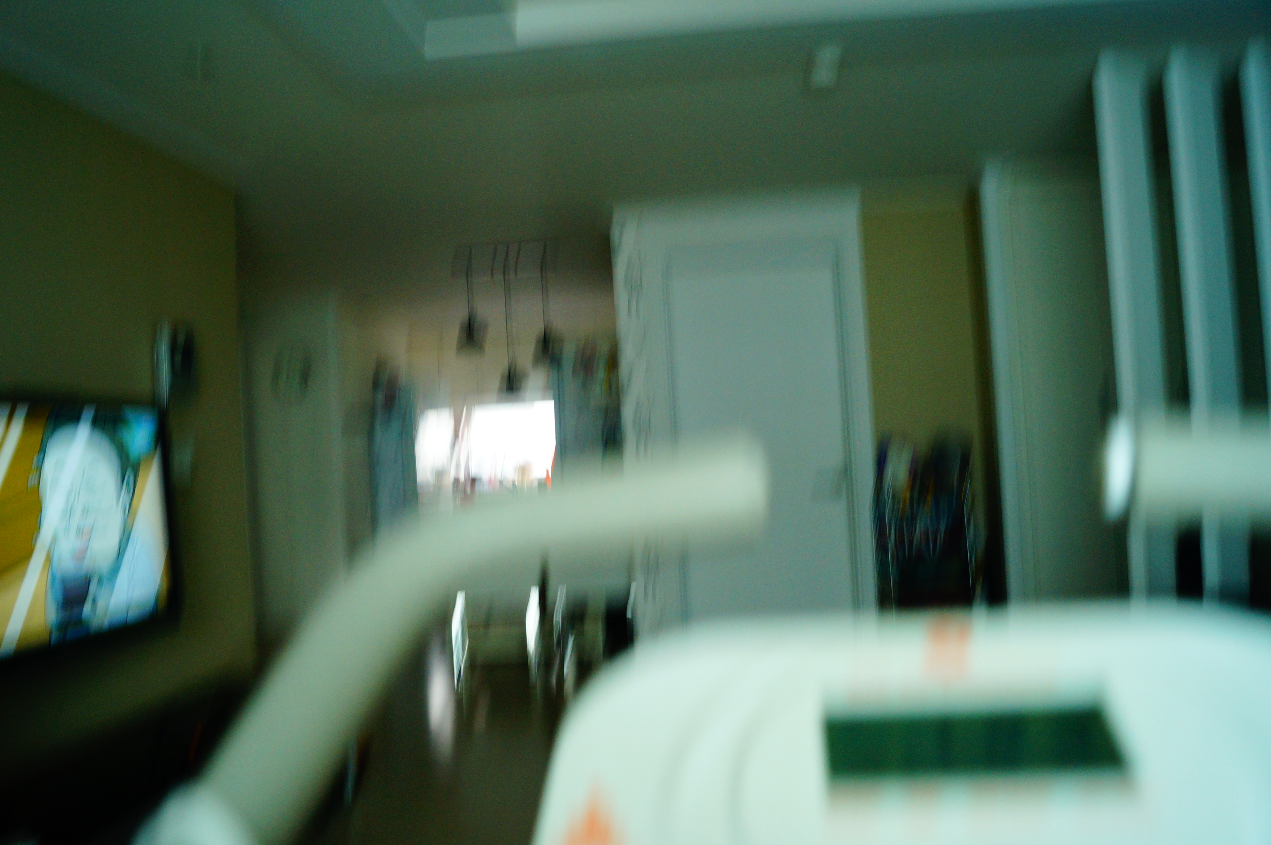 DSC02703.JPG