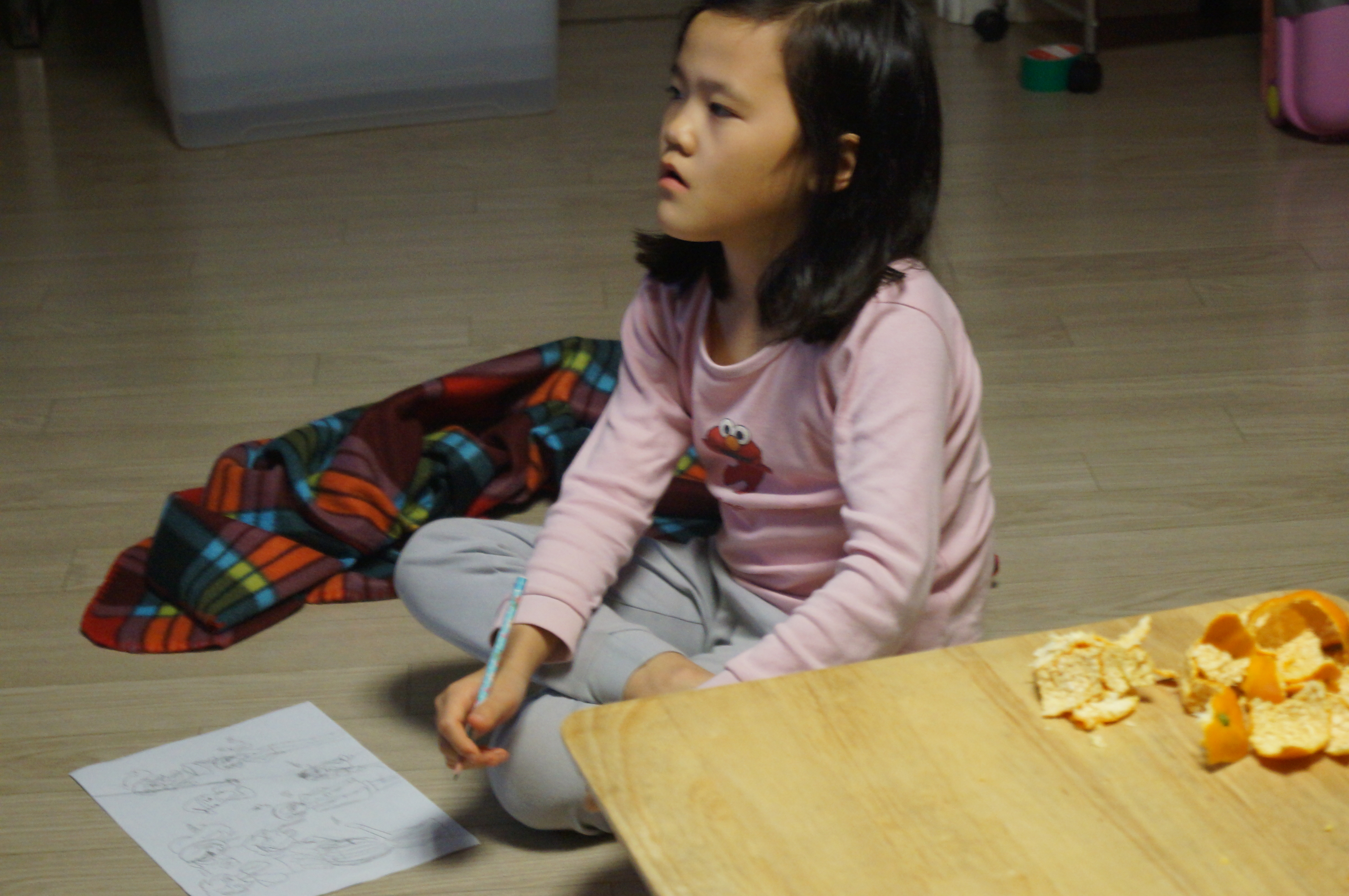 DSC02744.JPG