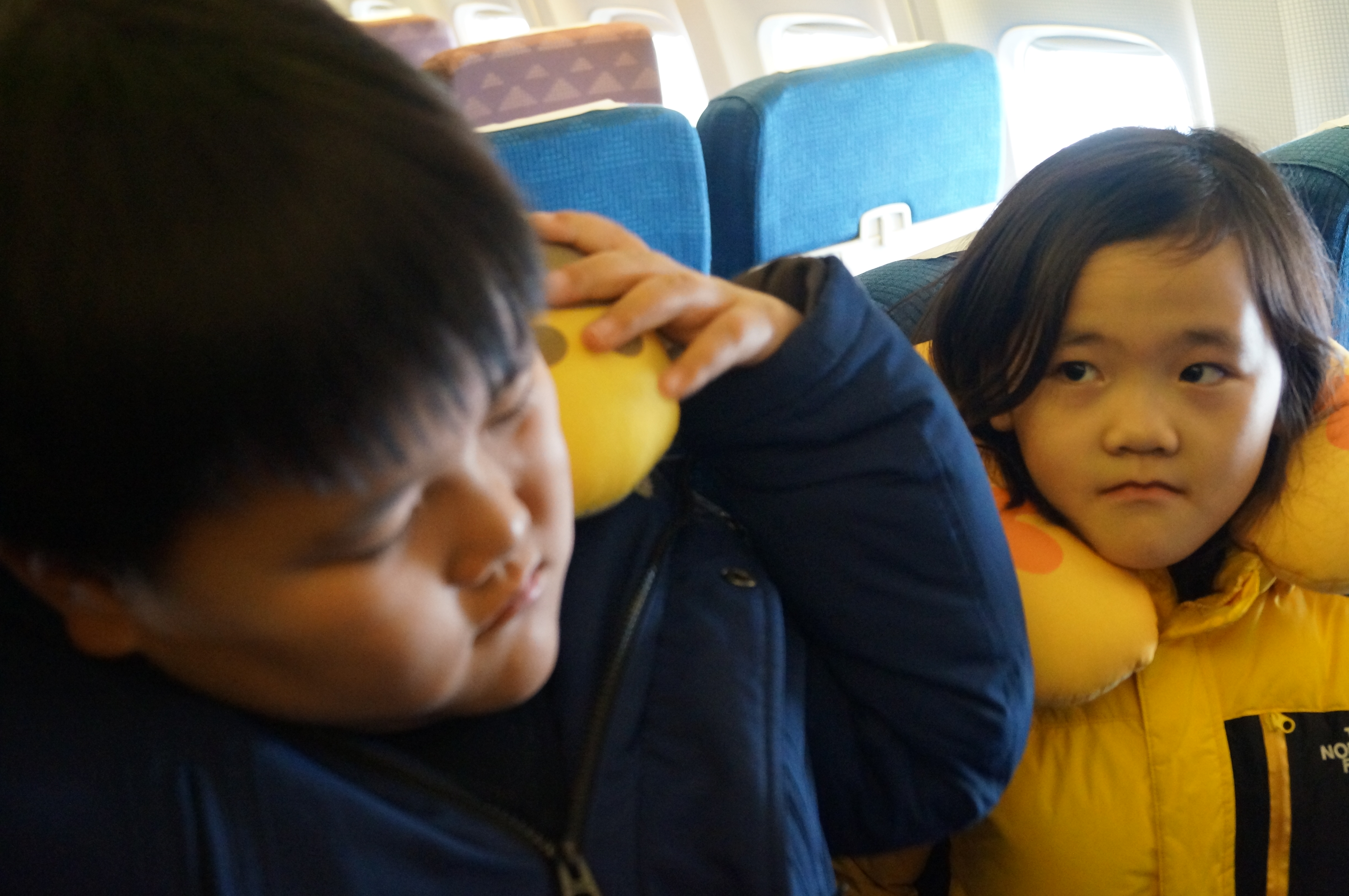 DSC02811.JPG