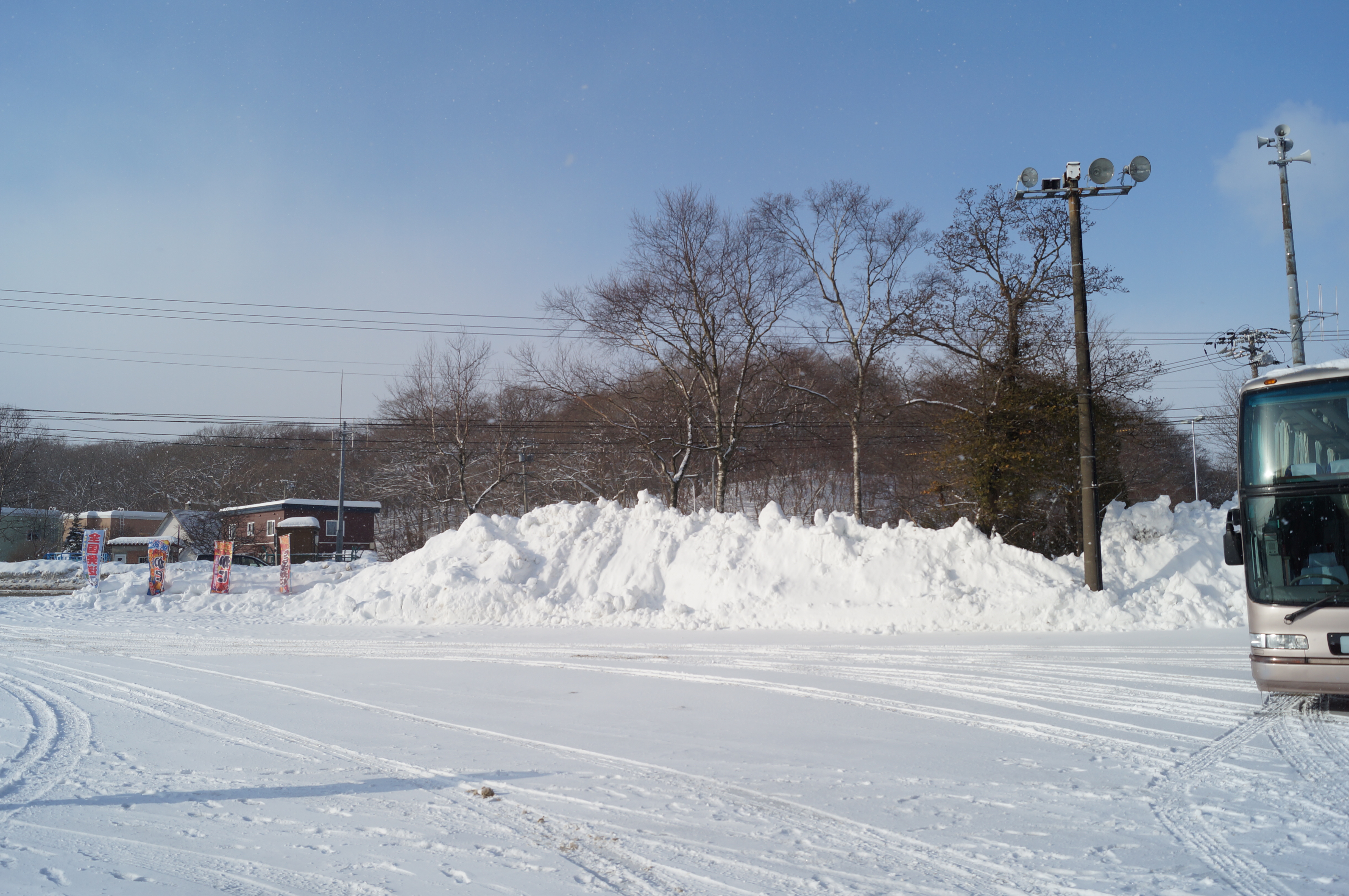 DSC02828.JPG