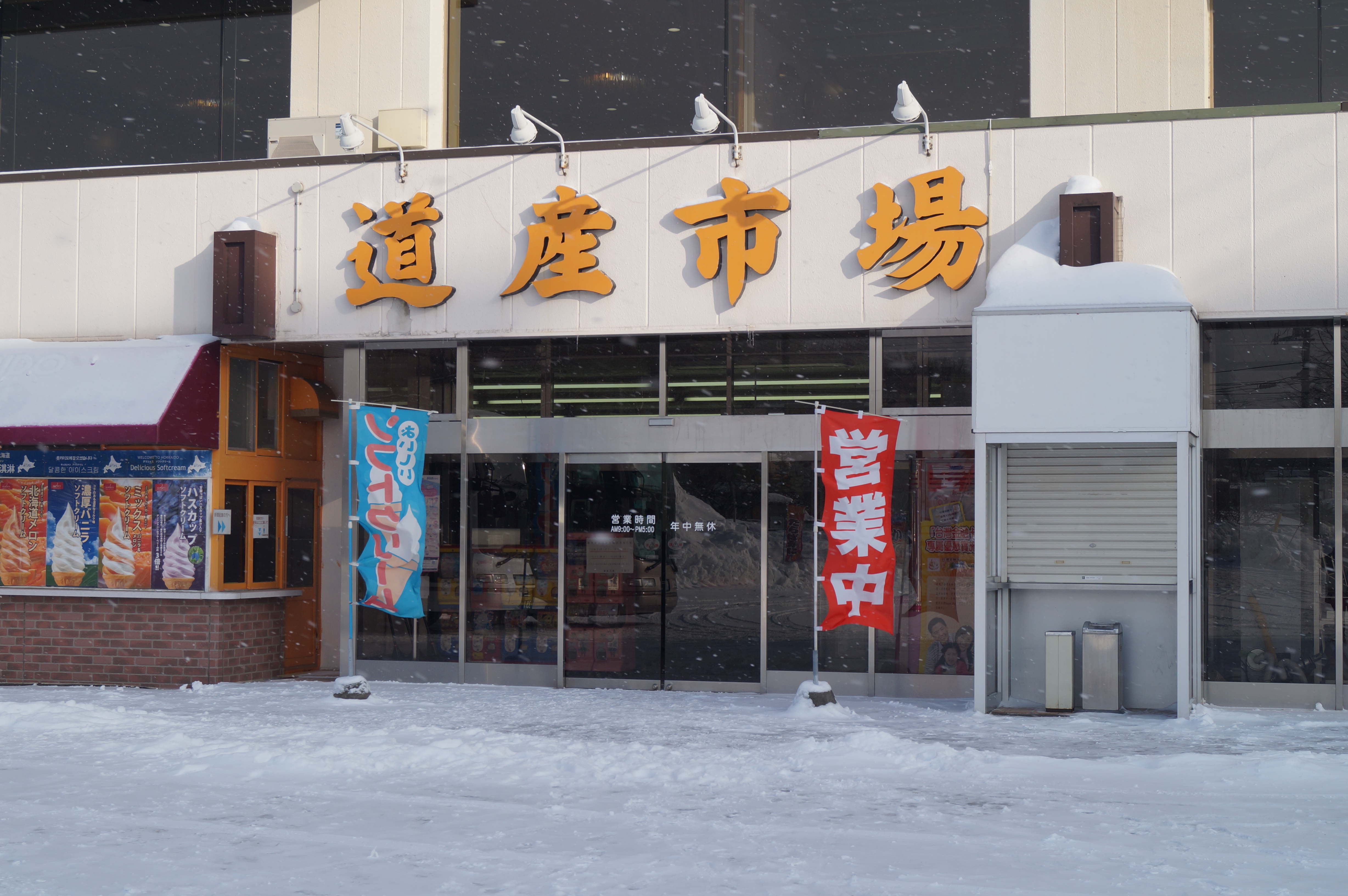 DSC02831.JPG