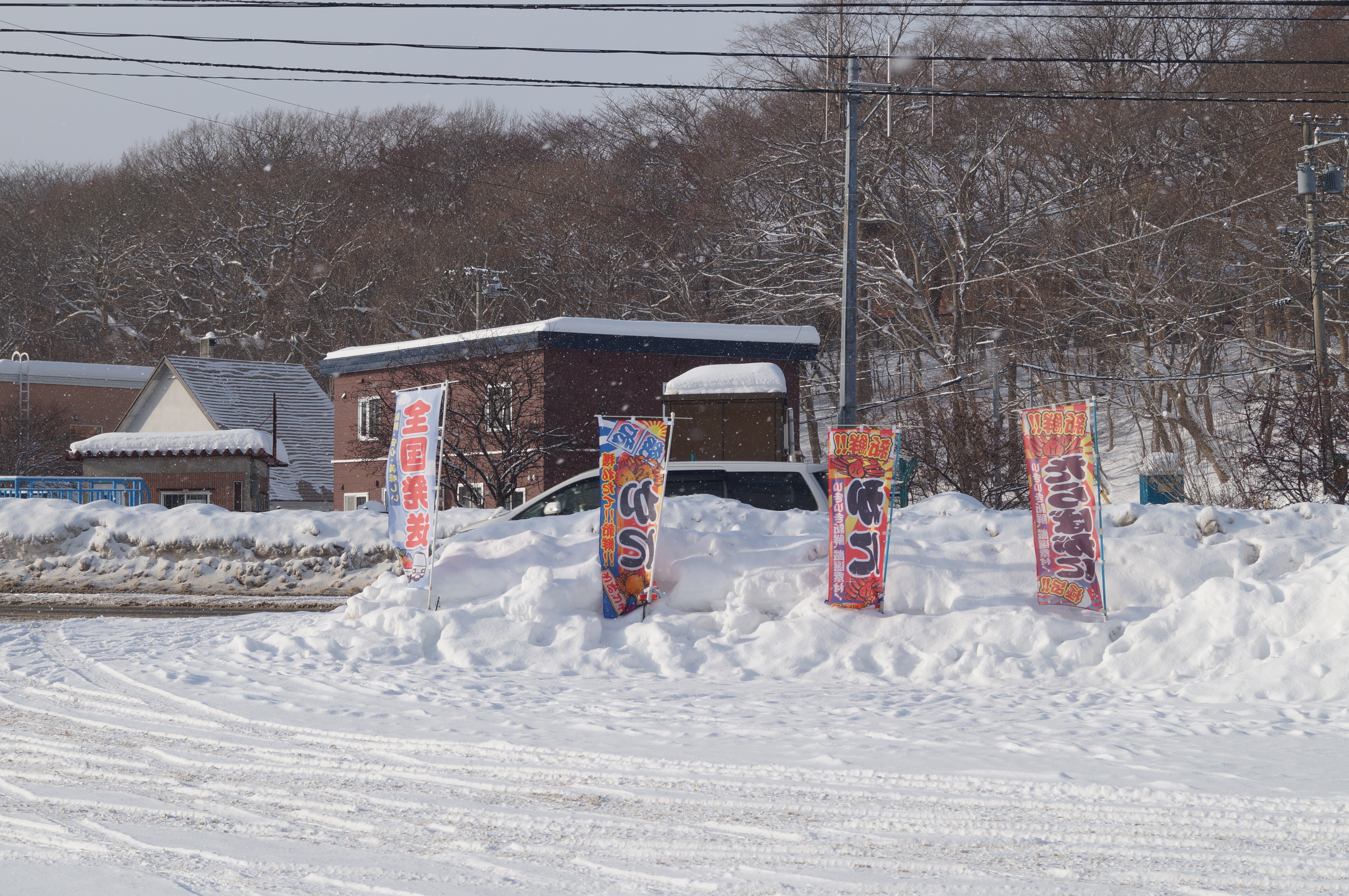 DSC02834.JPG