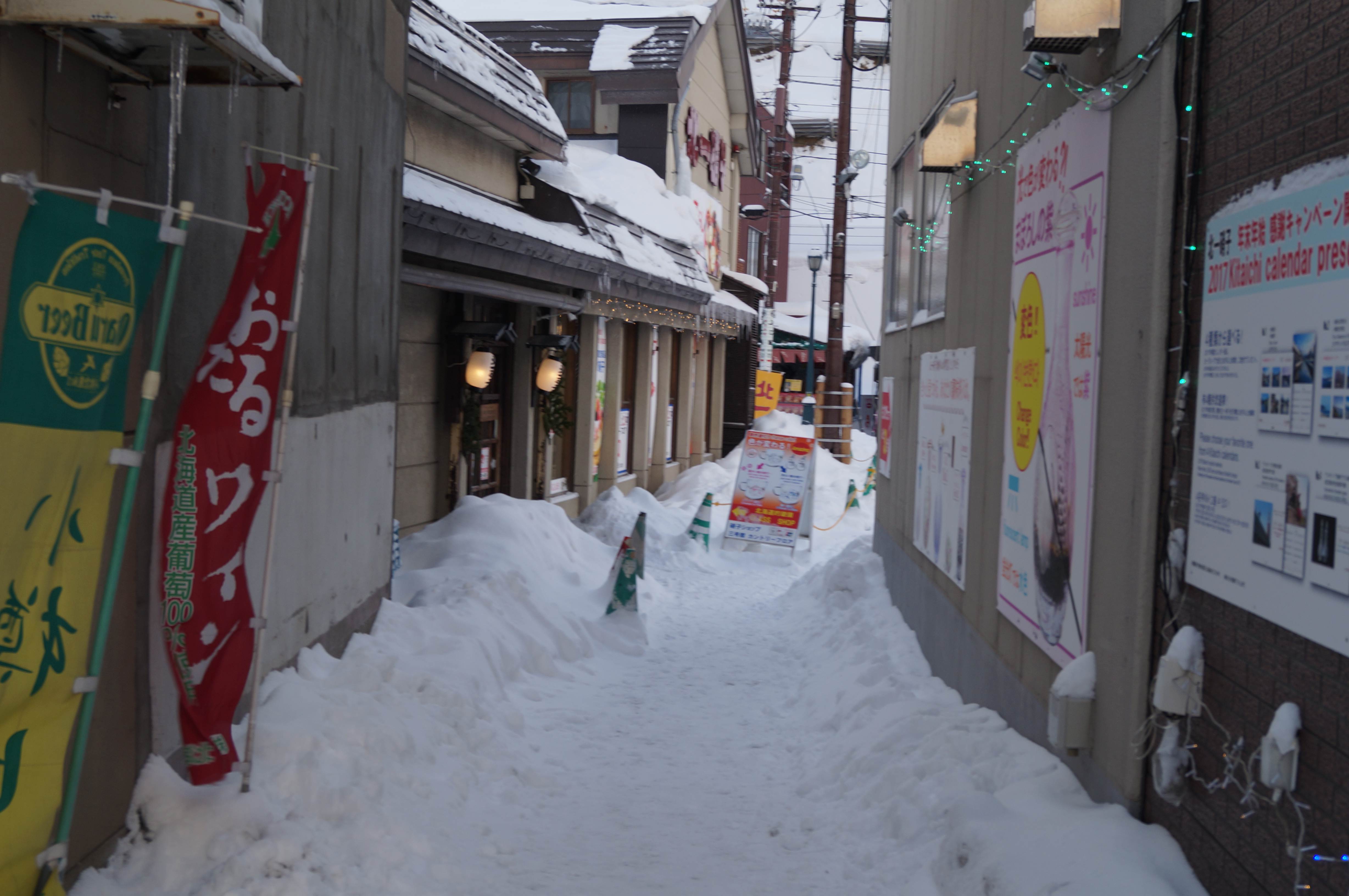 DSC02875.JPG