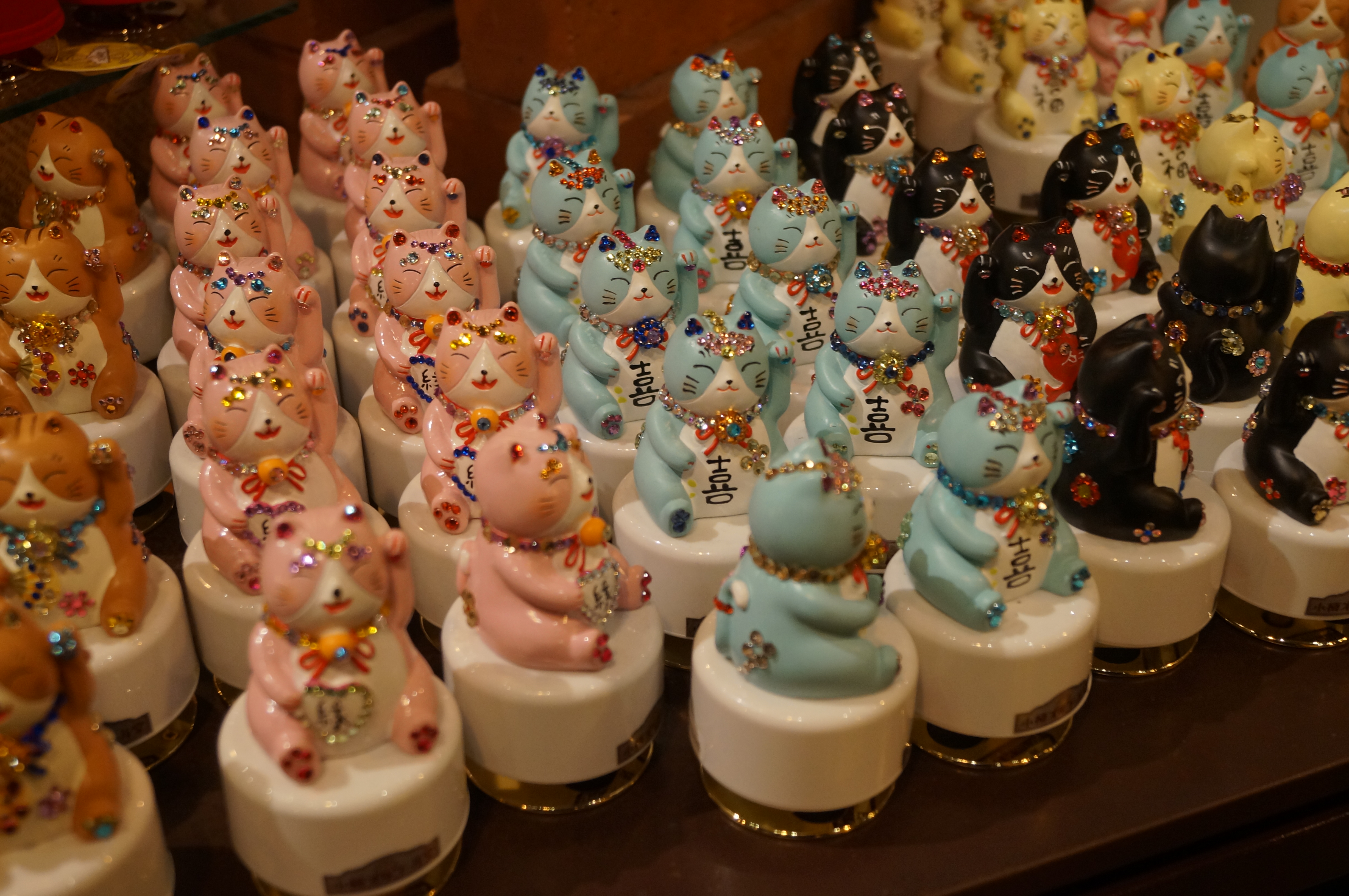 DSC02934.JPG
