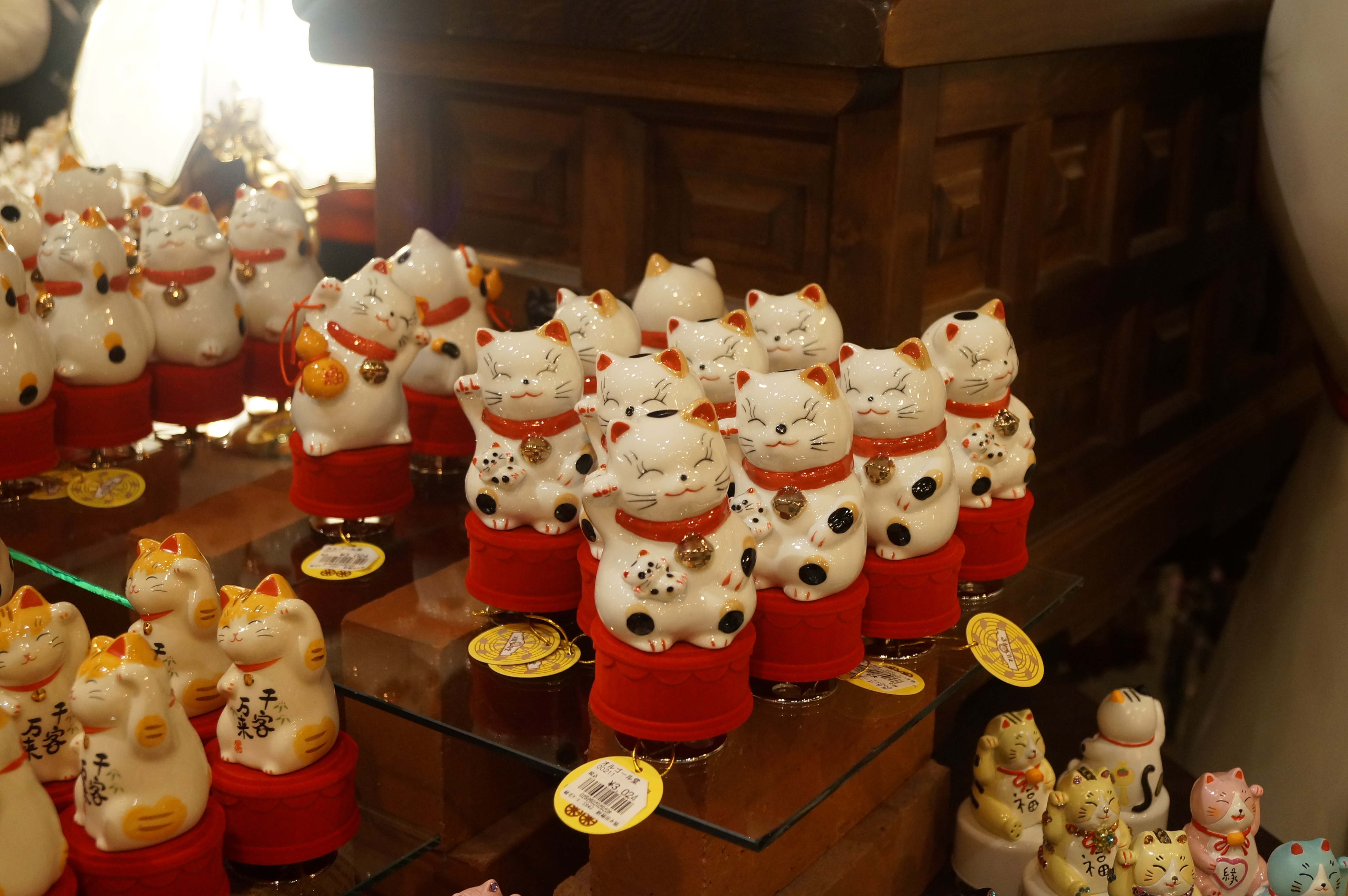 DSC02935.JPG