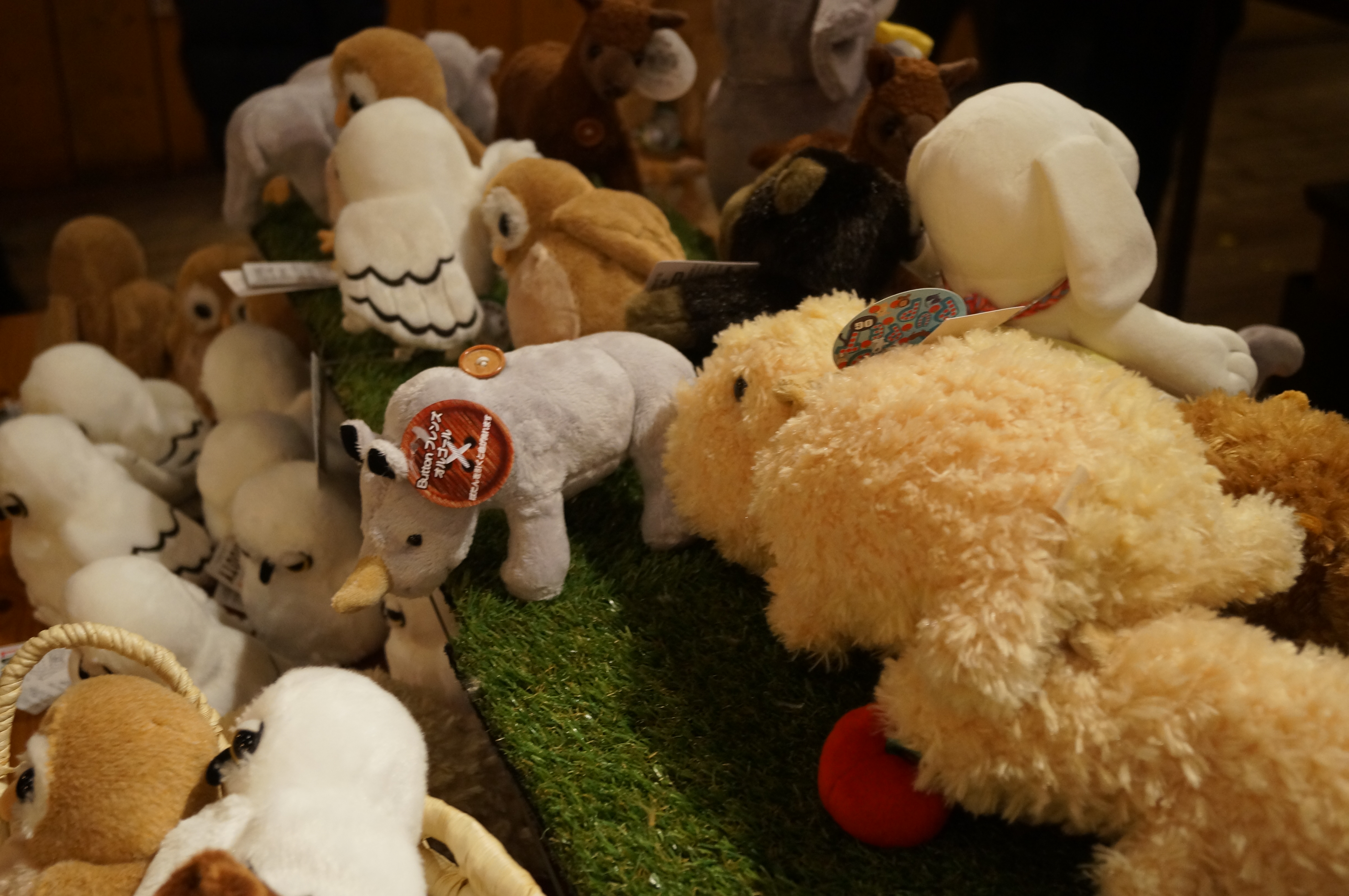 DSC02936.JPG