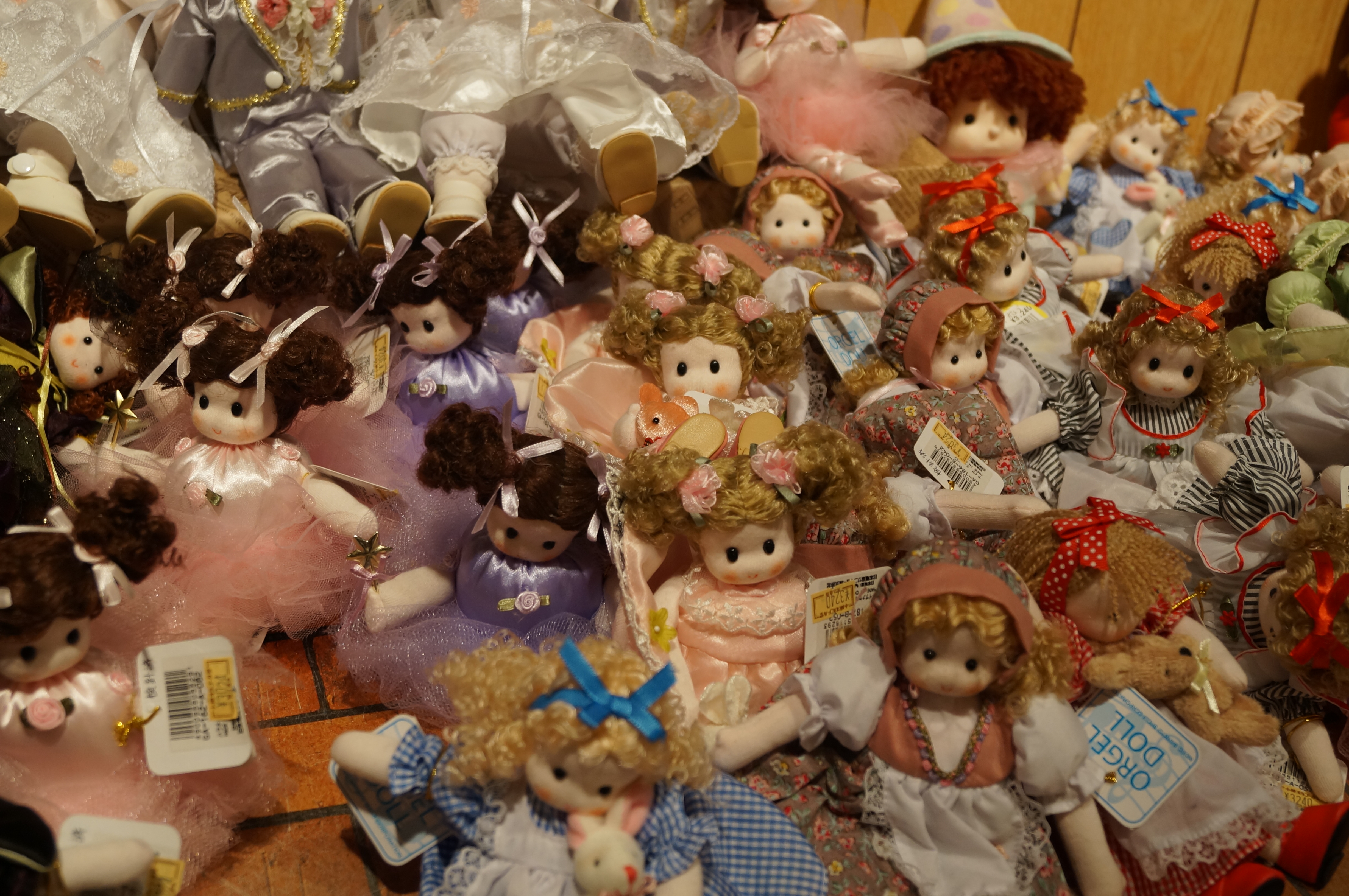 DSC02937.JPG
