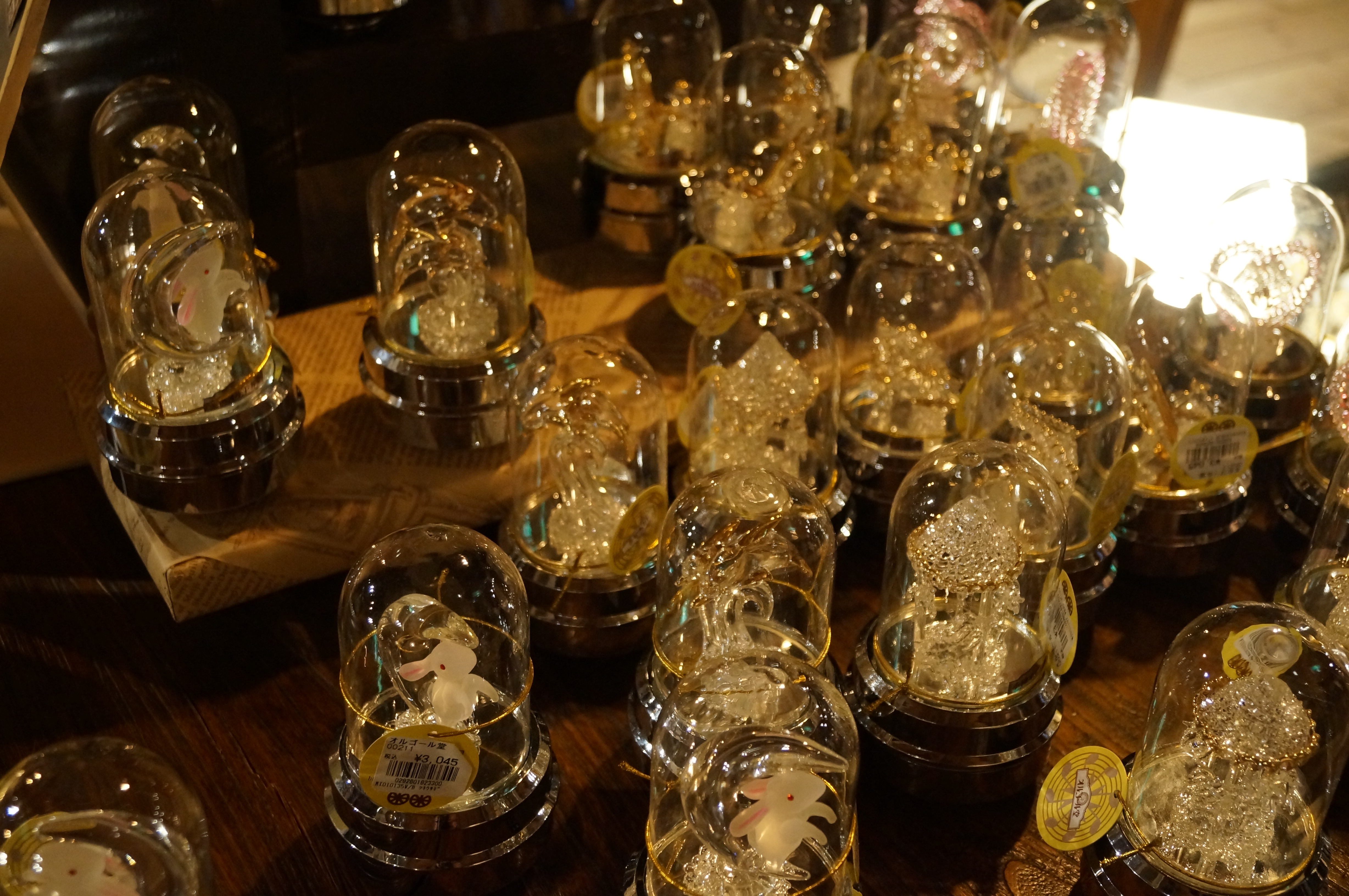 DSC02946.JPG