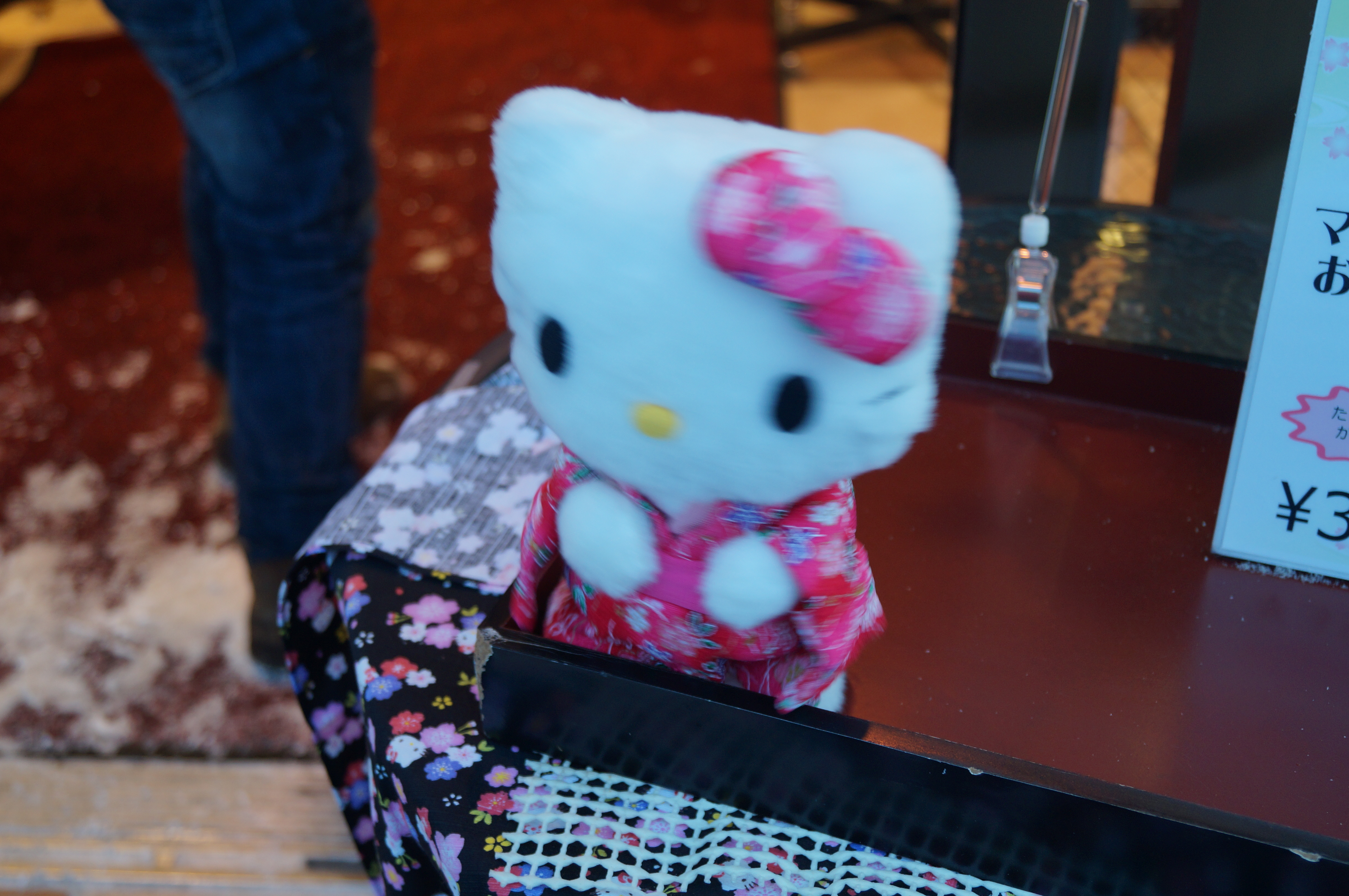 DSC02987.JPG