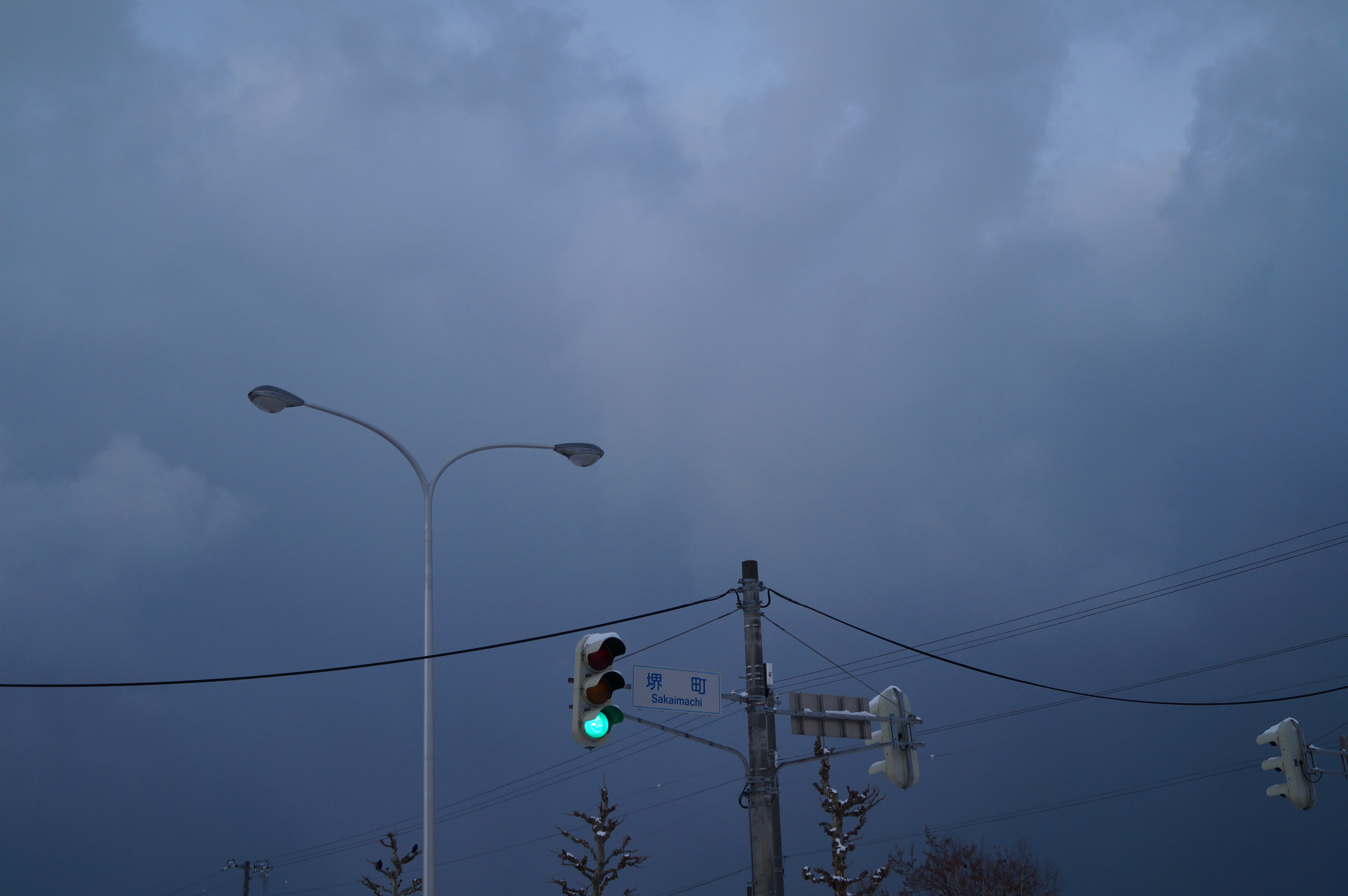 DSC02995.JPG