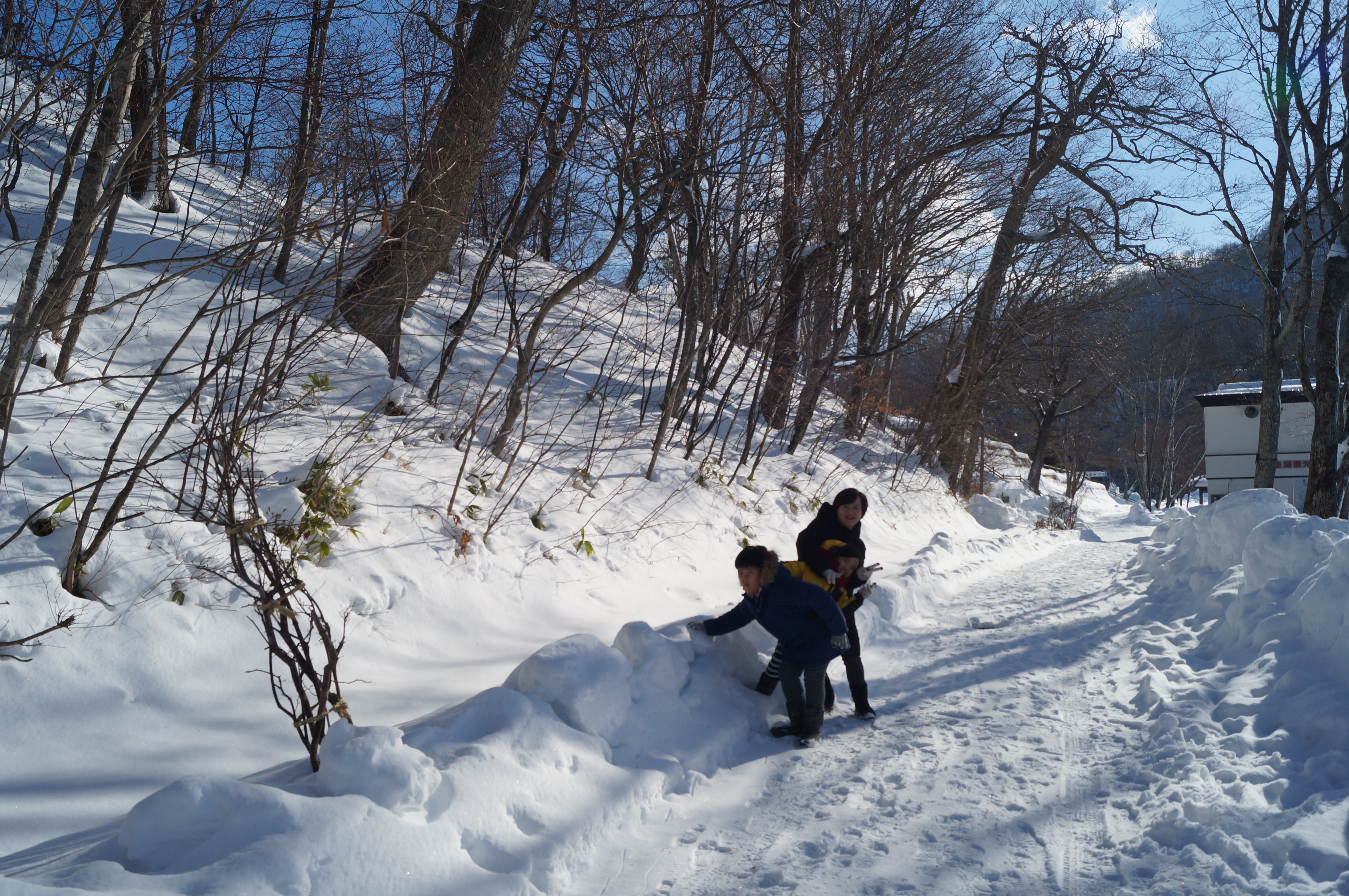 DSC03104.JPG