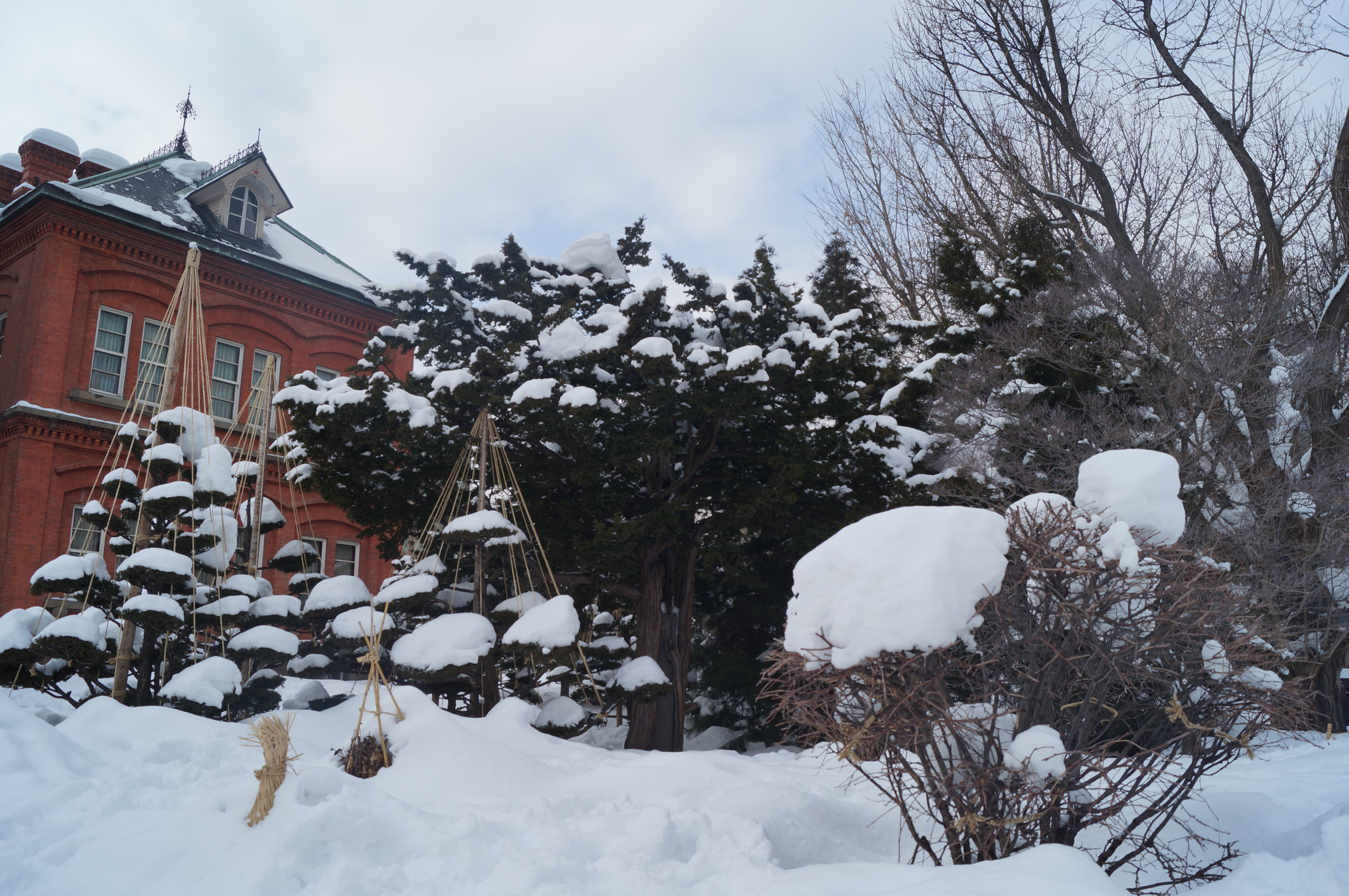 DSC03142.JPG