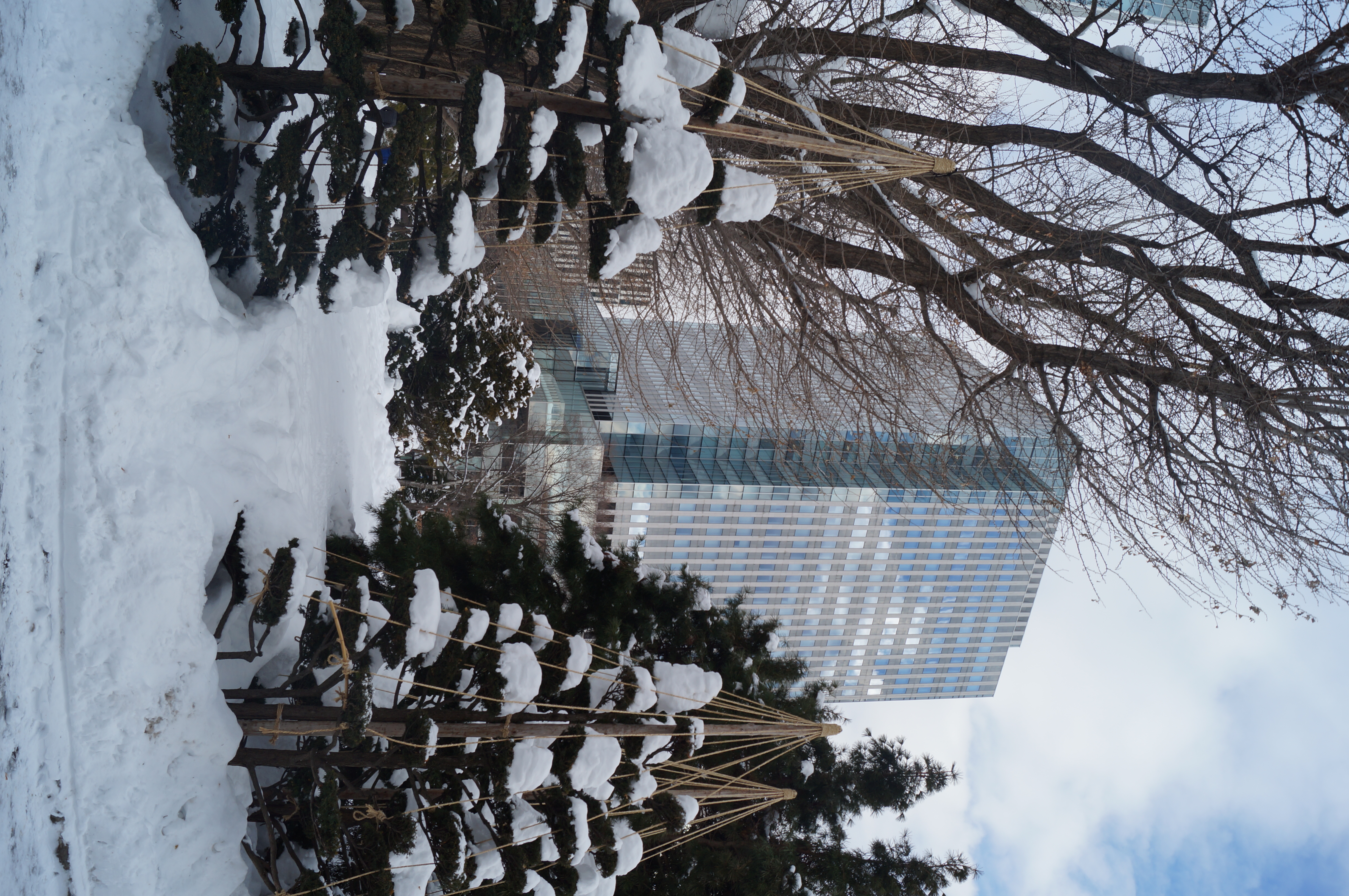 DSC03147.JPG