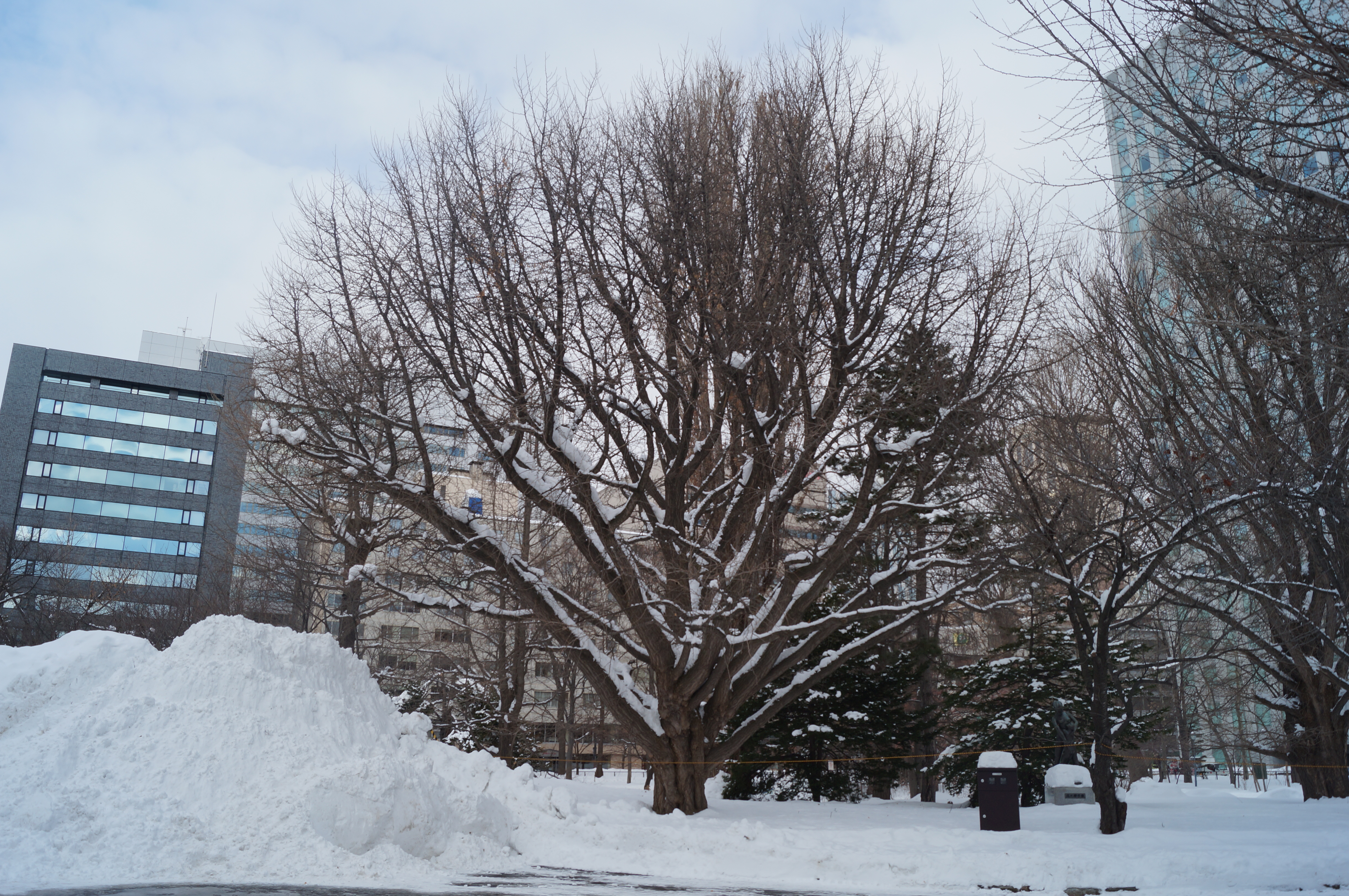 DSC03148.JPG