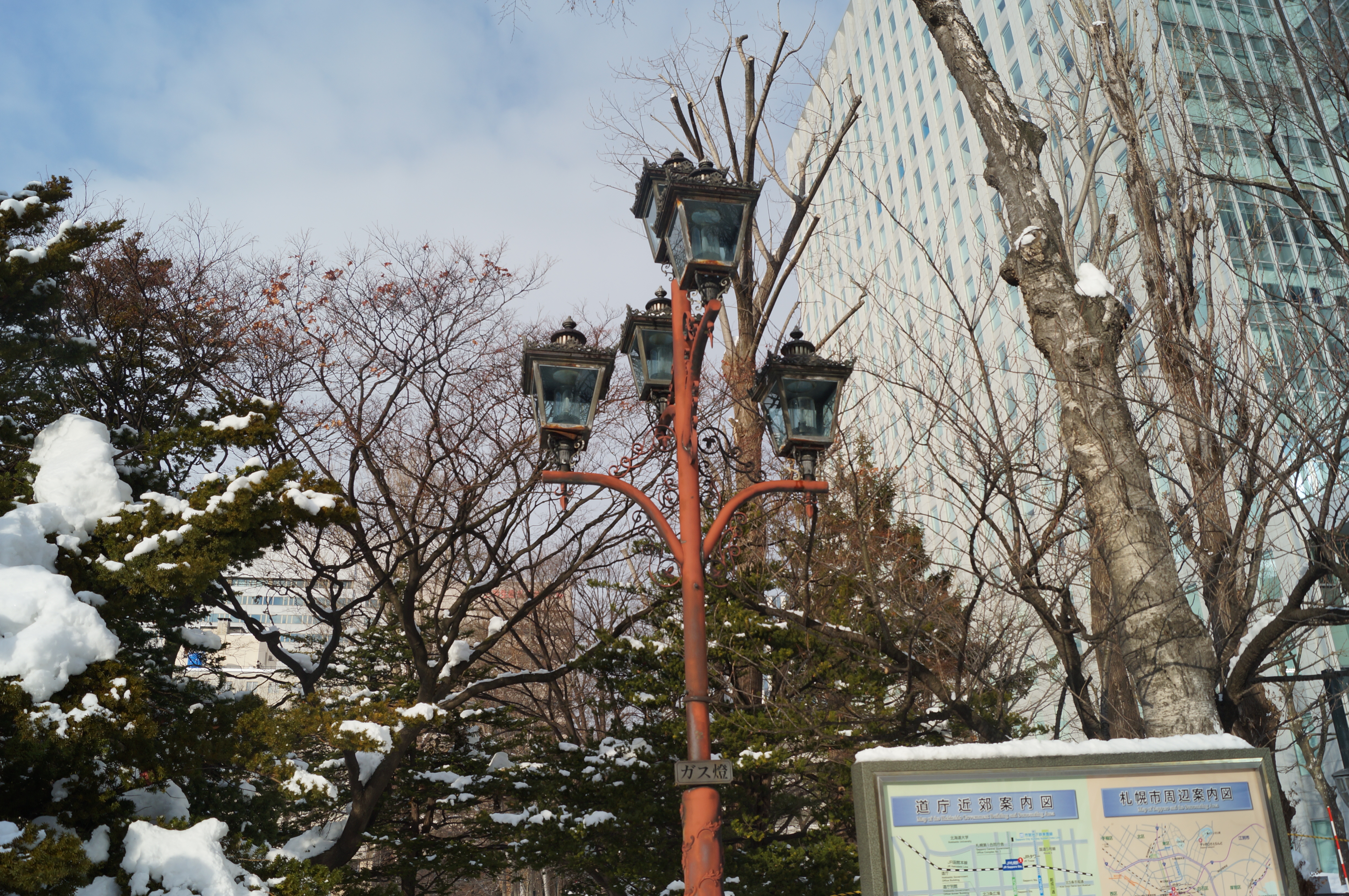 DSC03164.JPG