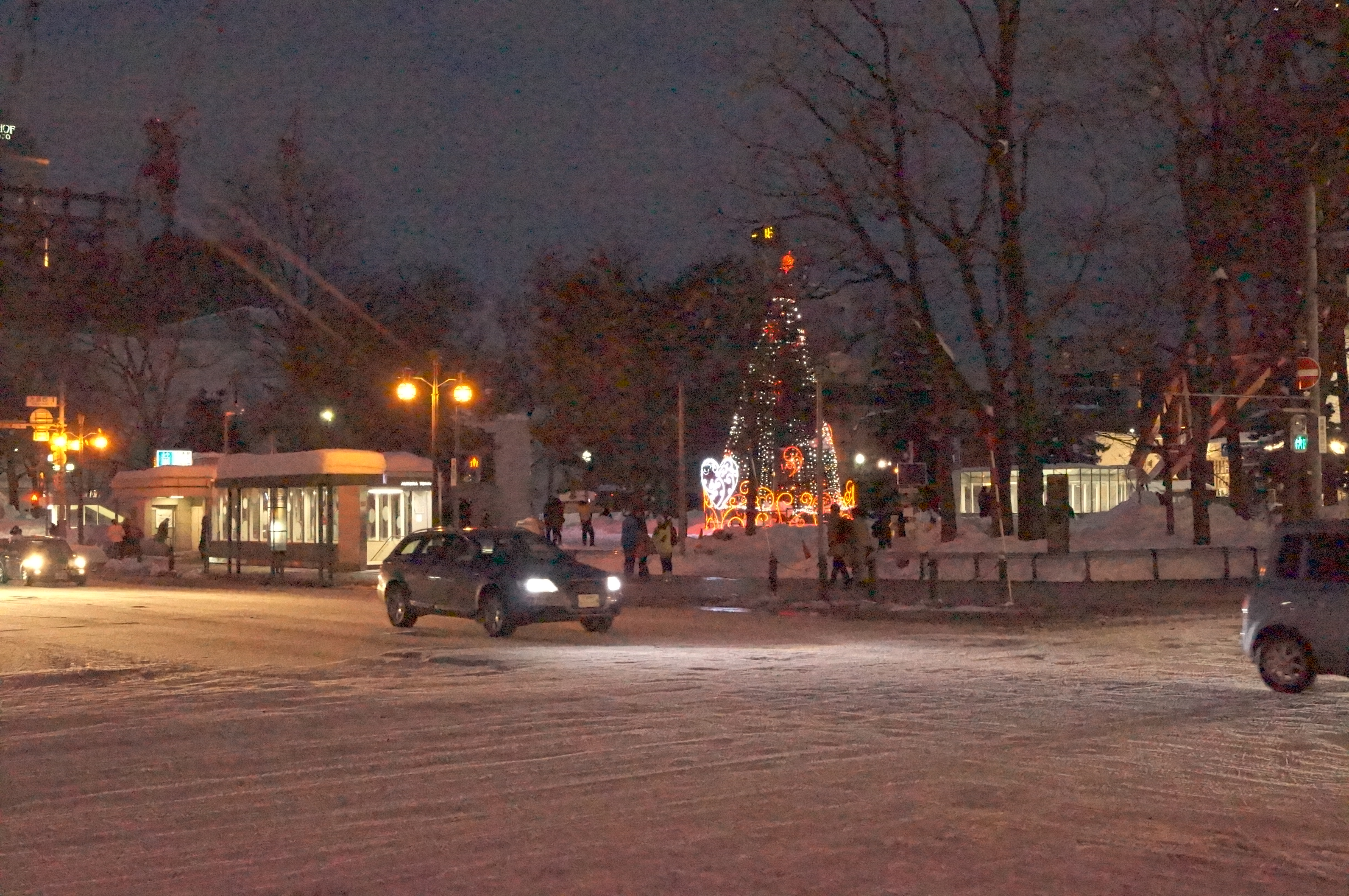 DSC03204.JPG