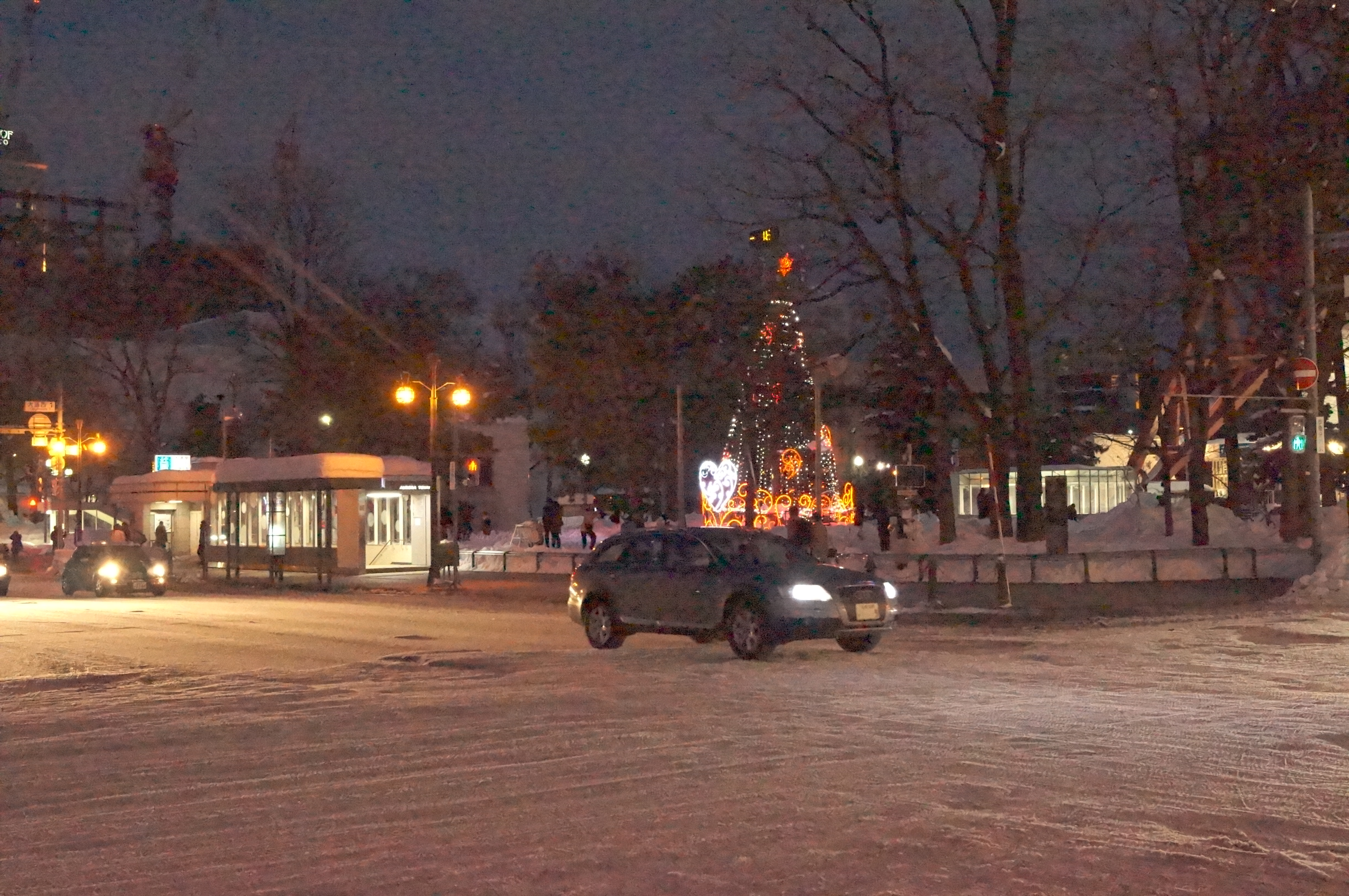 DSC03205.JPG