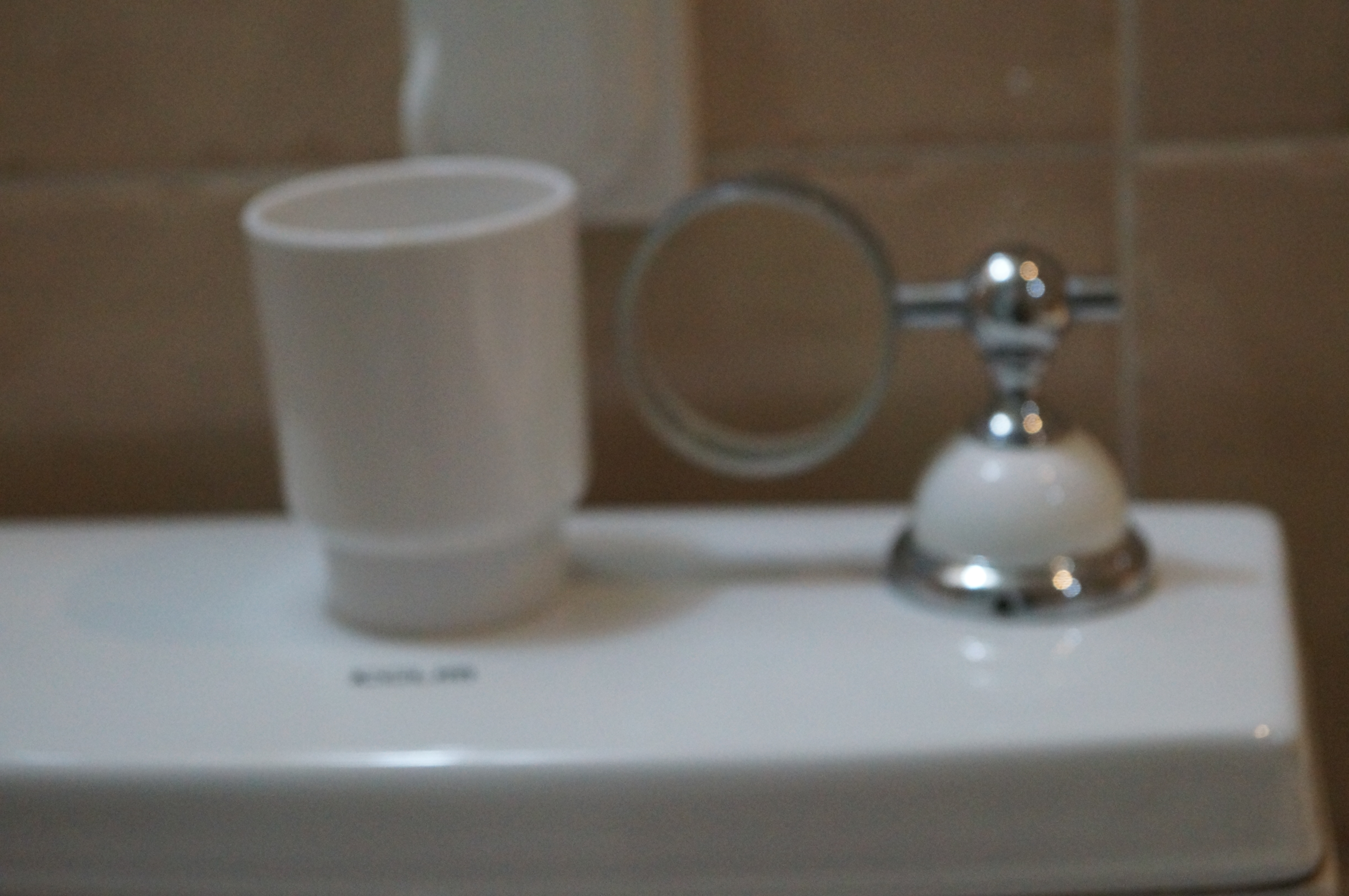 DSC03294.JPG