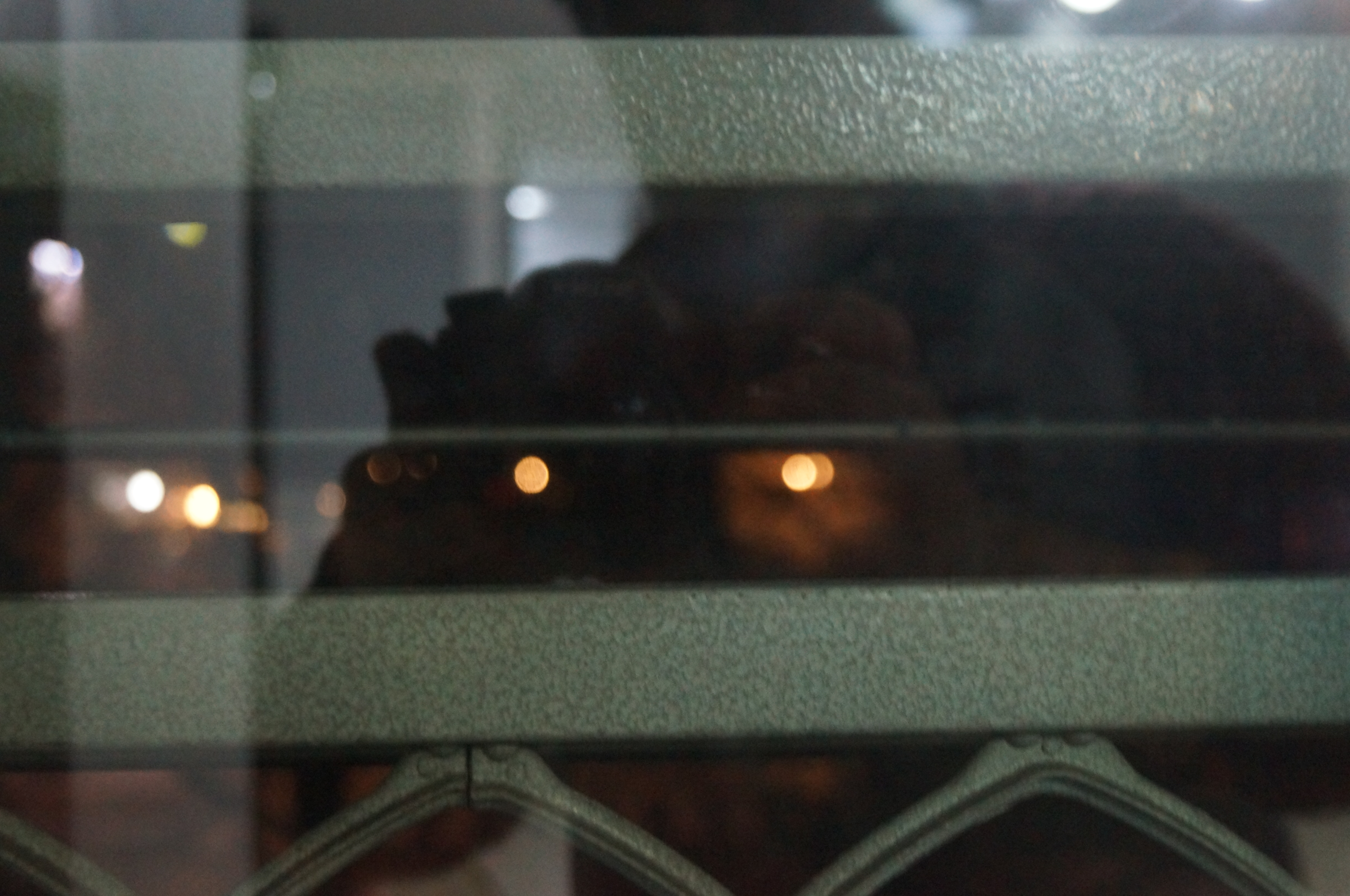 DSC03304.JPG
