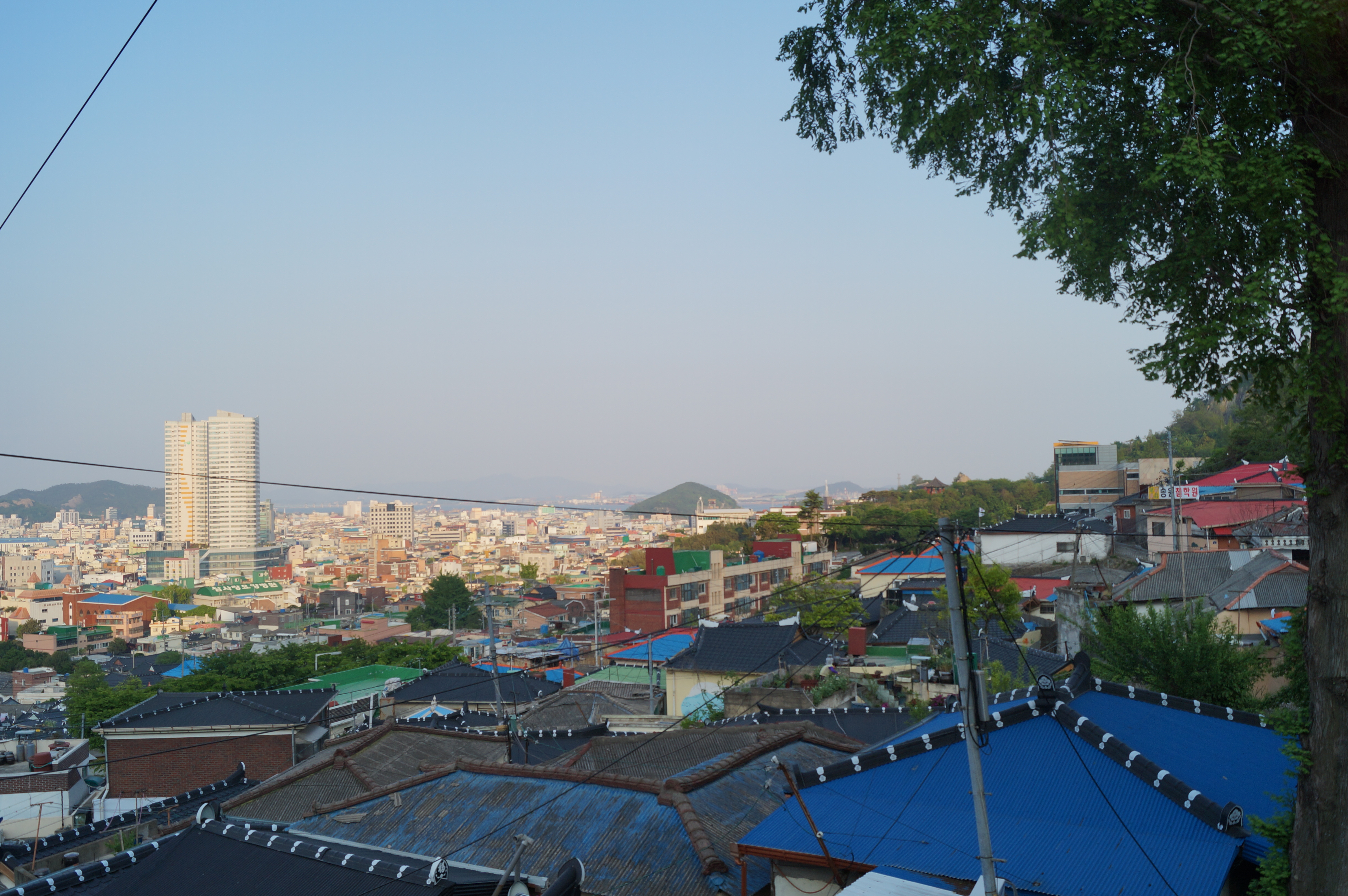 DSC03314.JPG