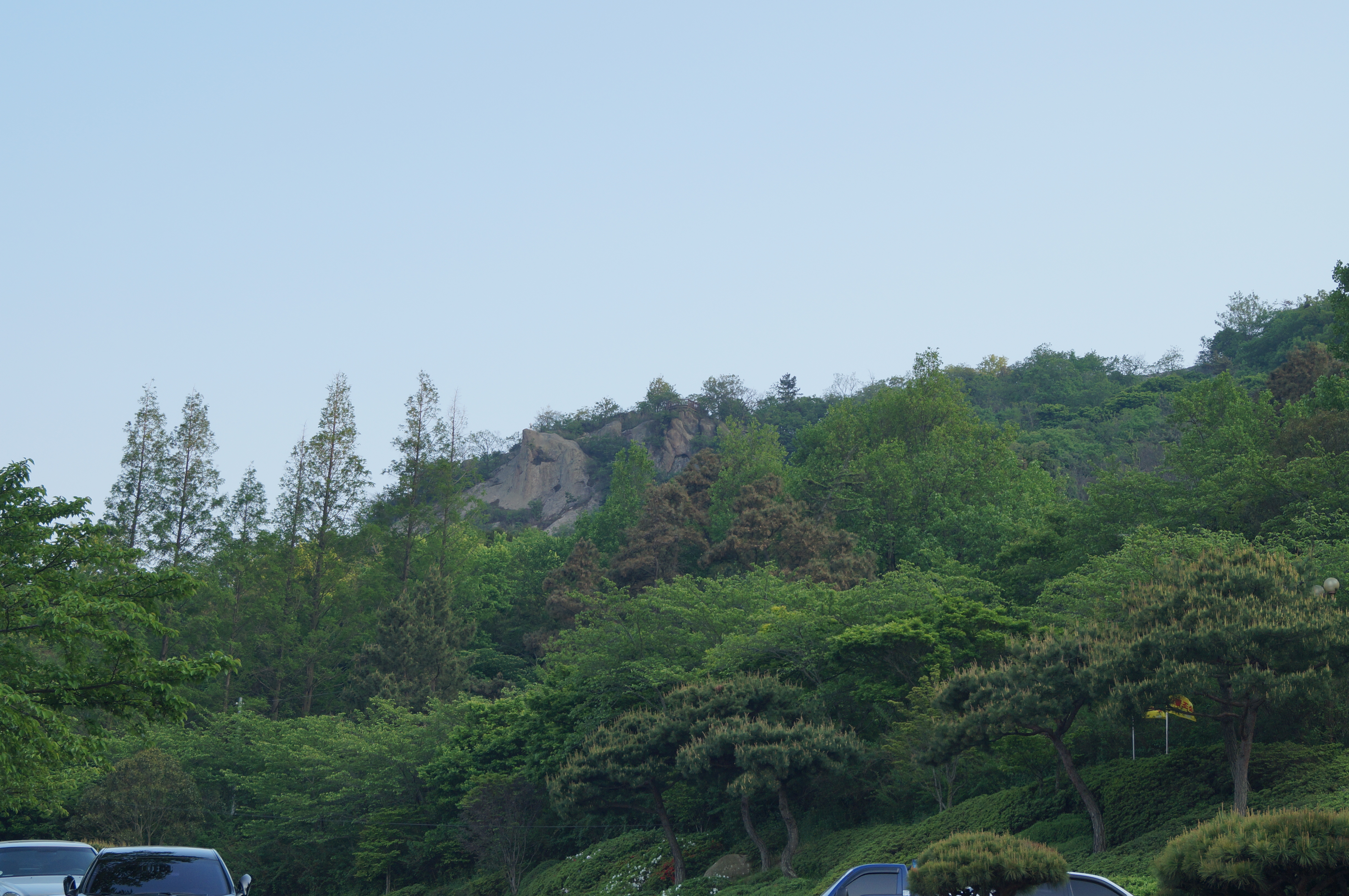 DSC03316.JPG