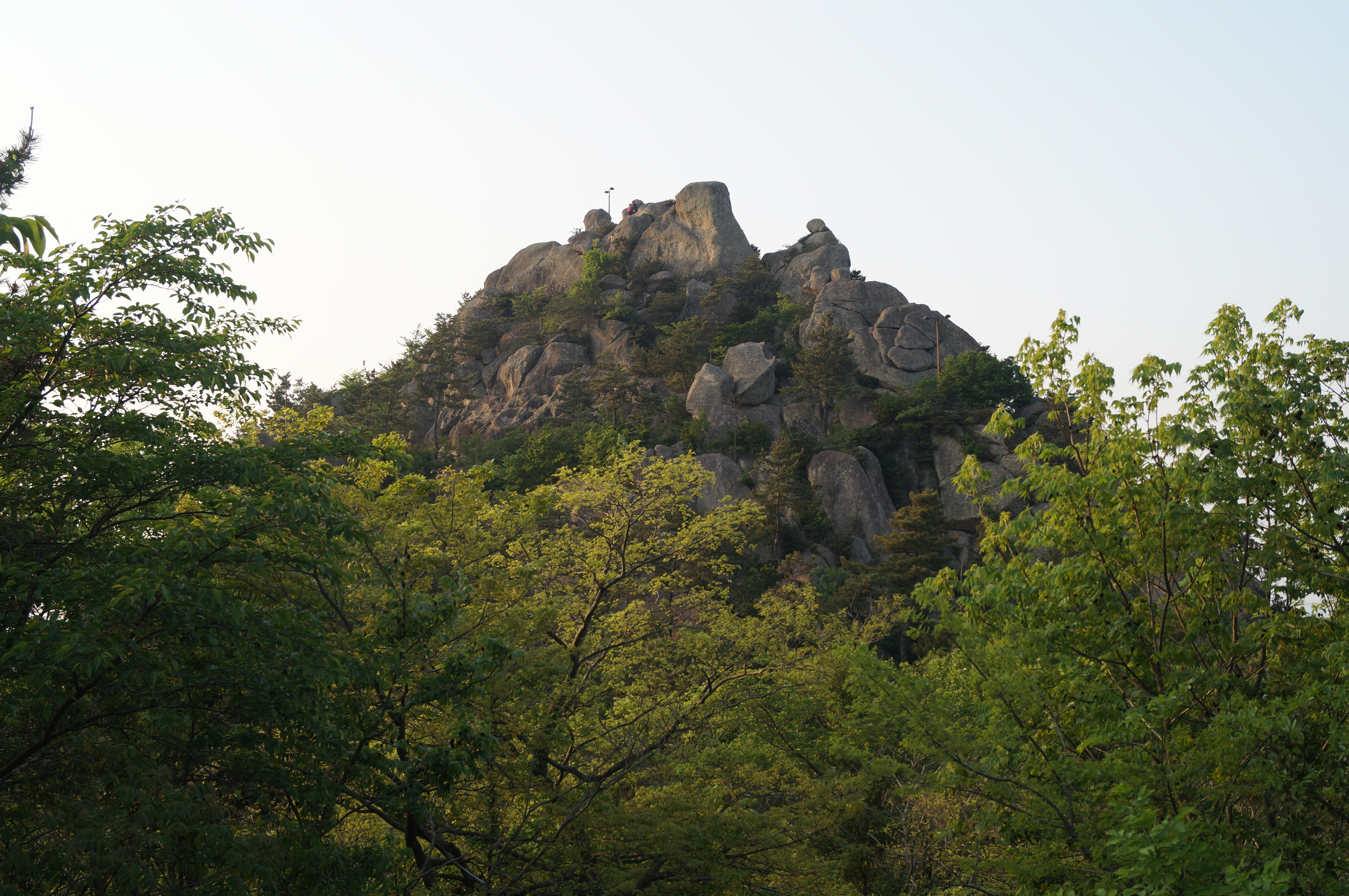 DSC03327.JPG
