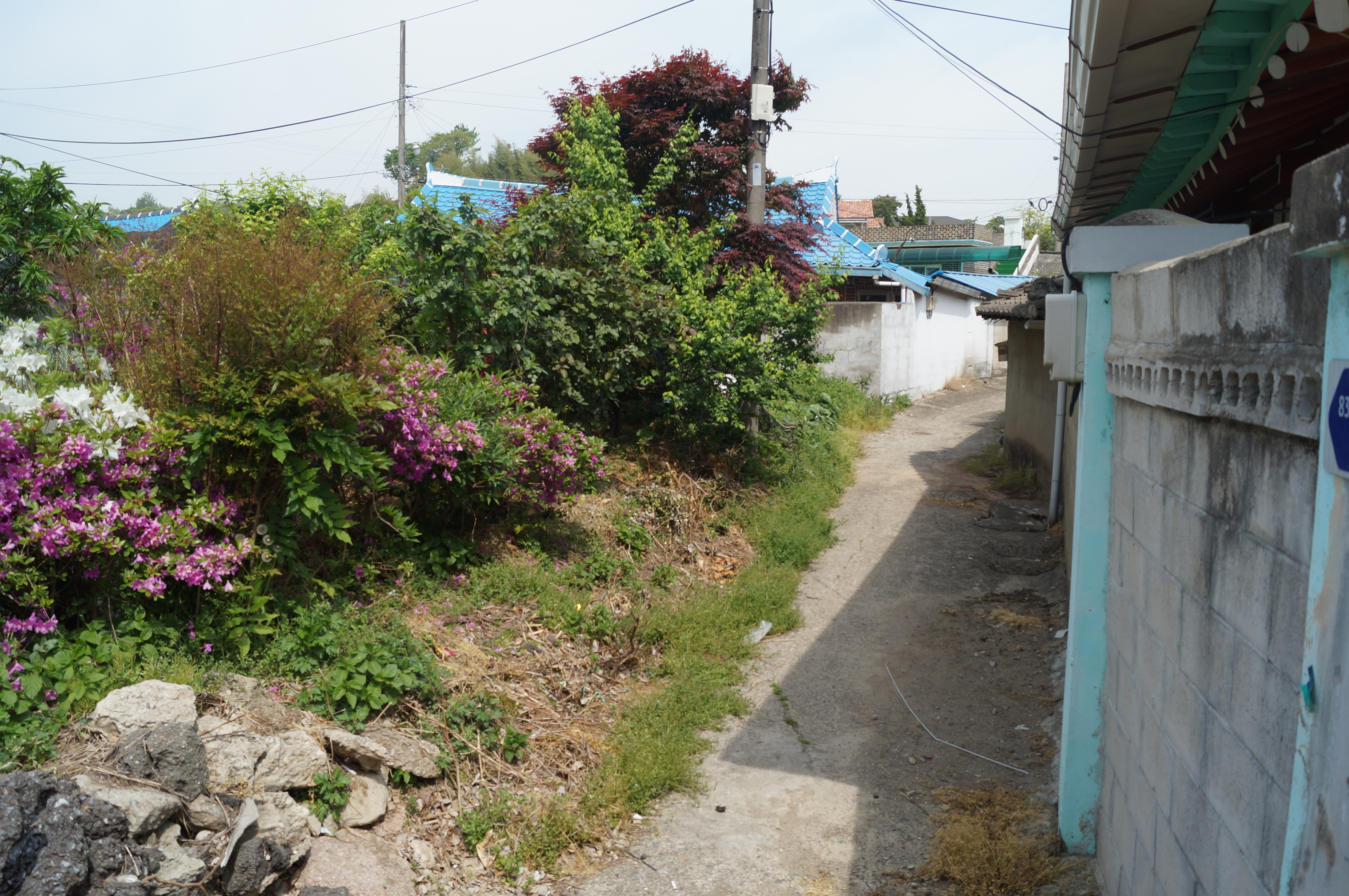 DSC03365.JPG