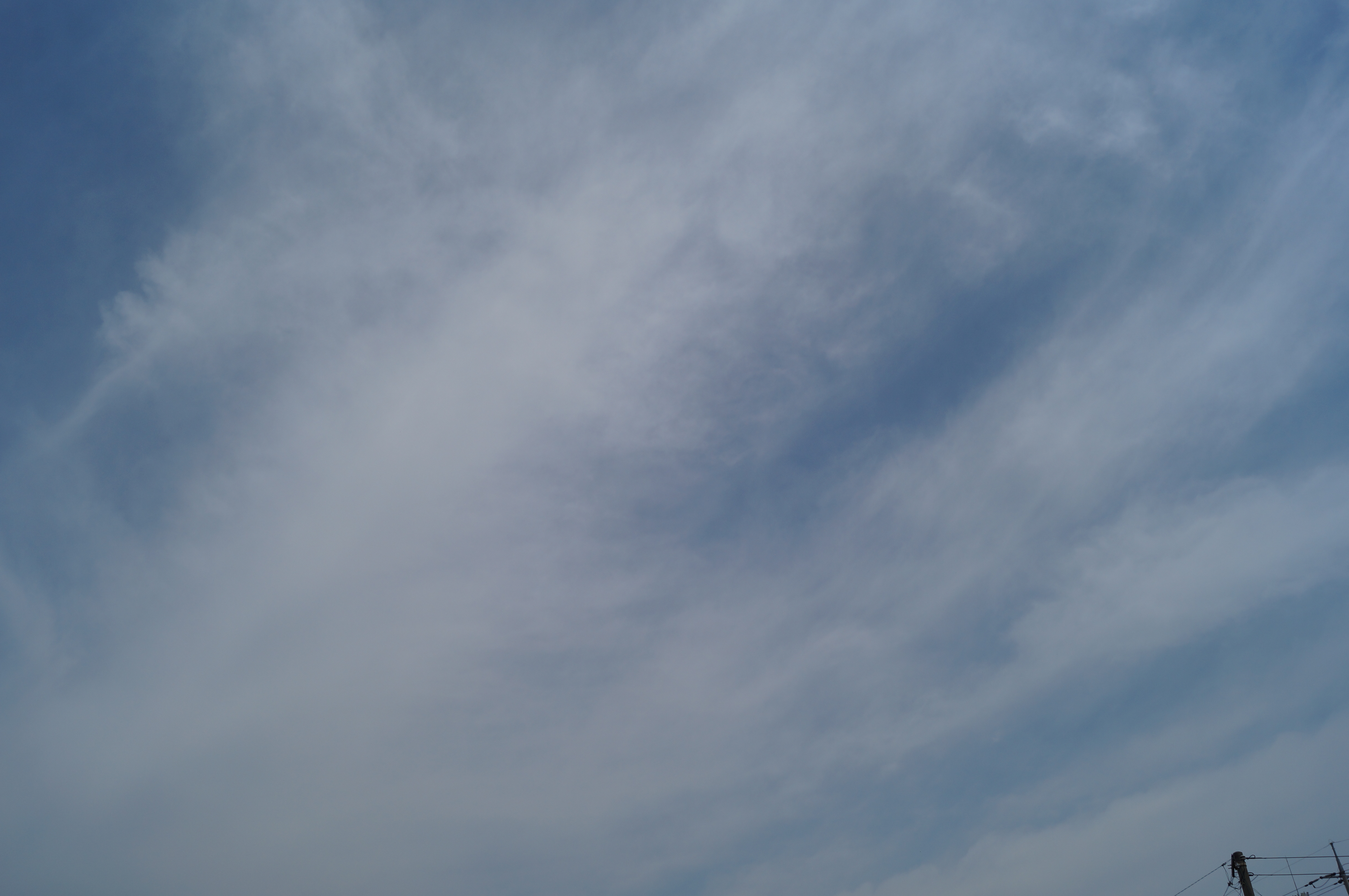DSC03369.JPG