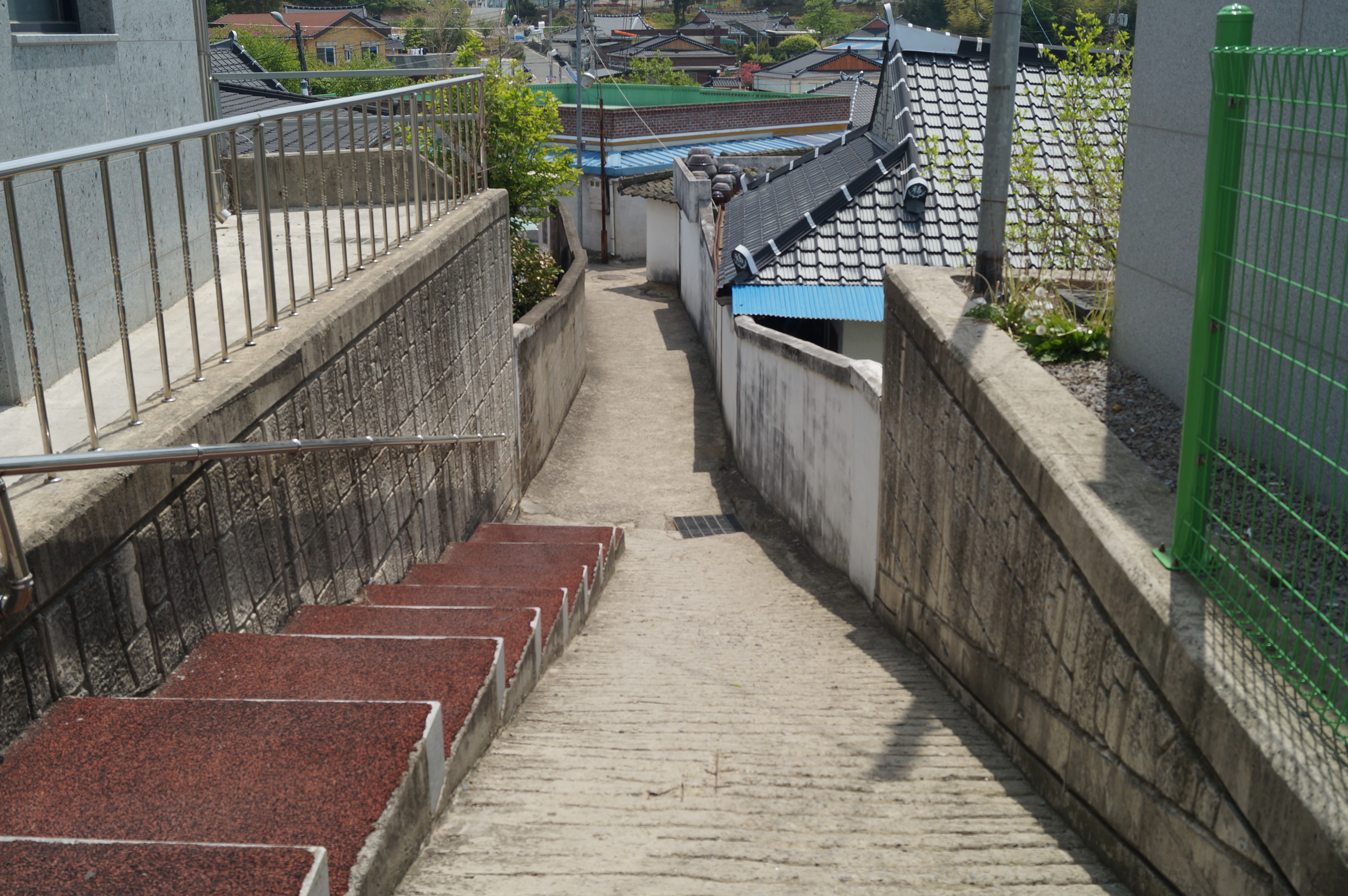 DSC03390.JPG