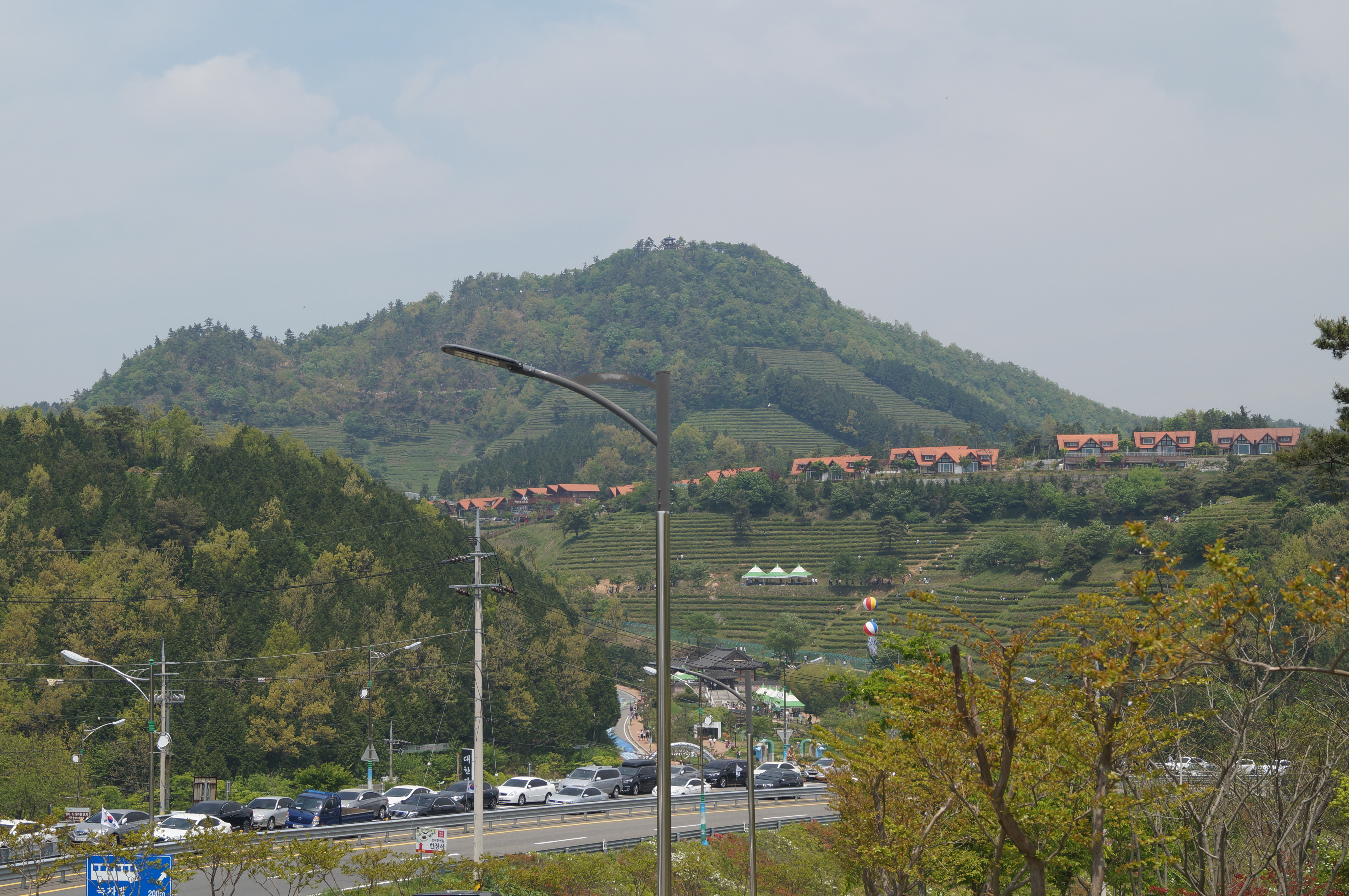 DSC03396.JPG