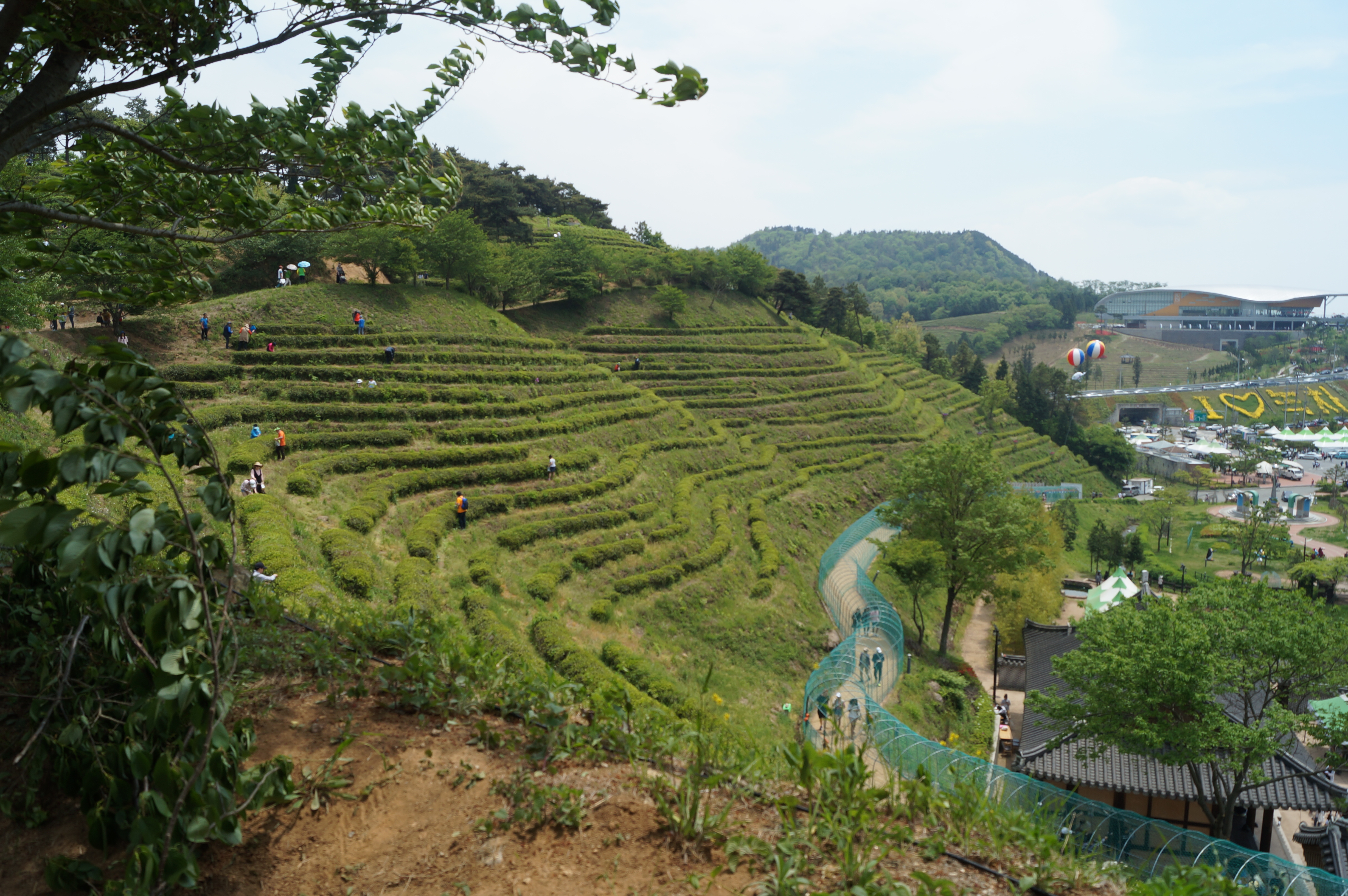 DSC03432.JPG