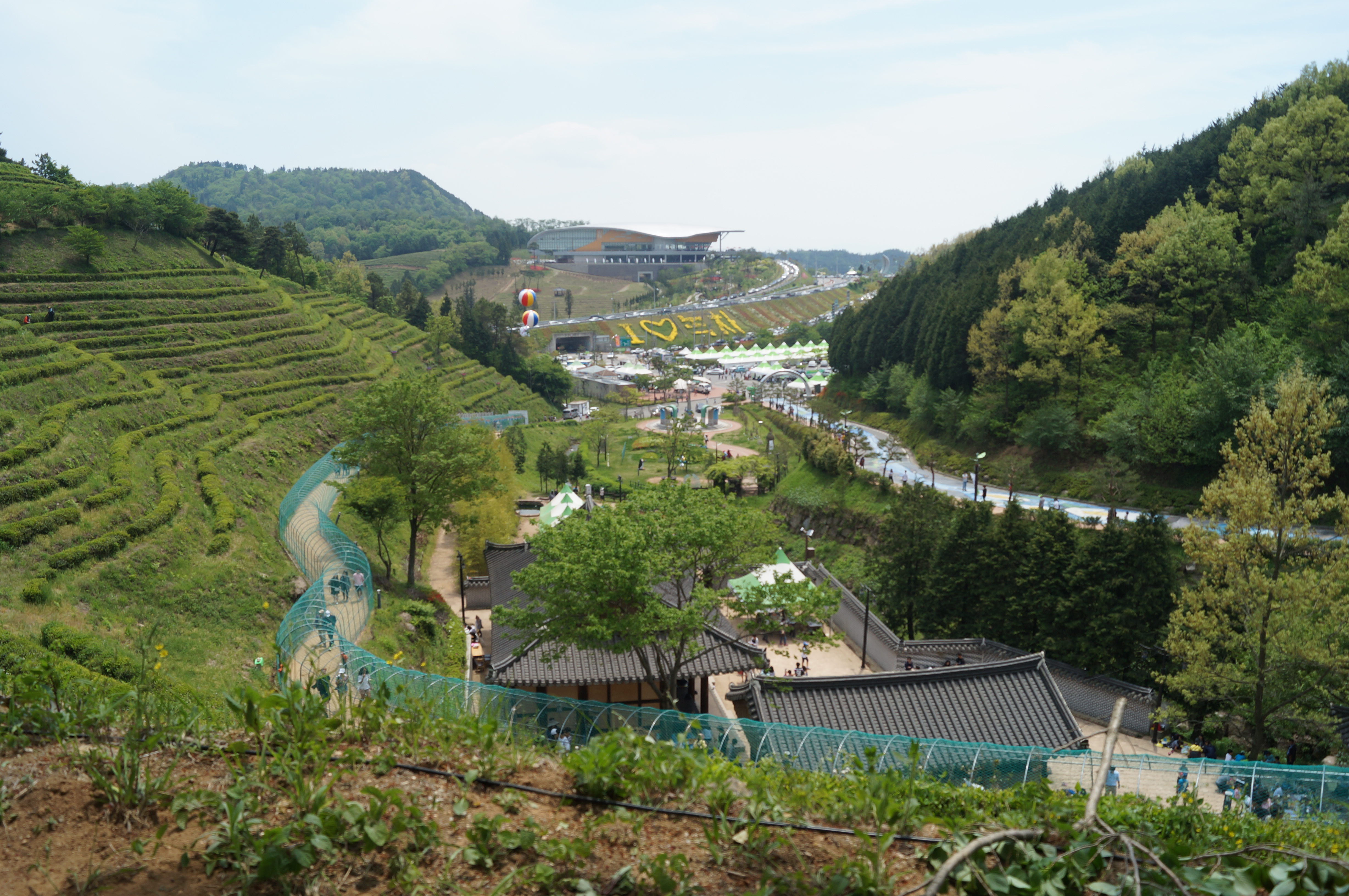 DSC03433.JPG