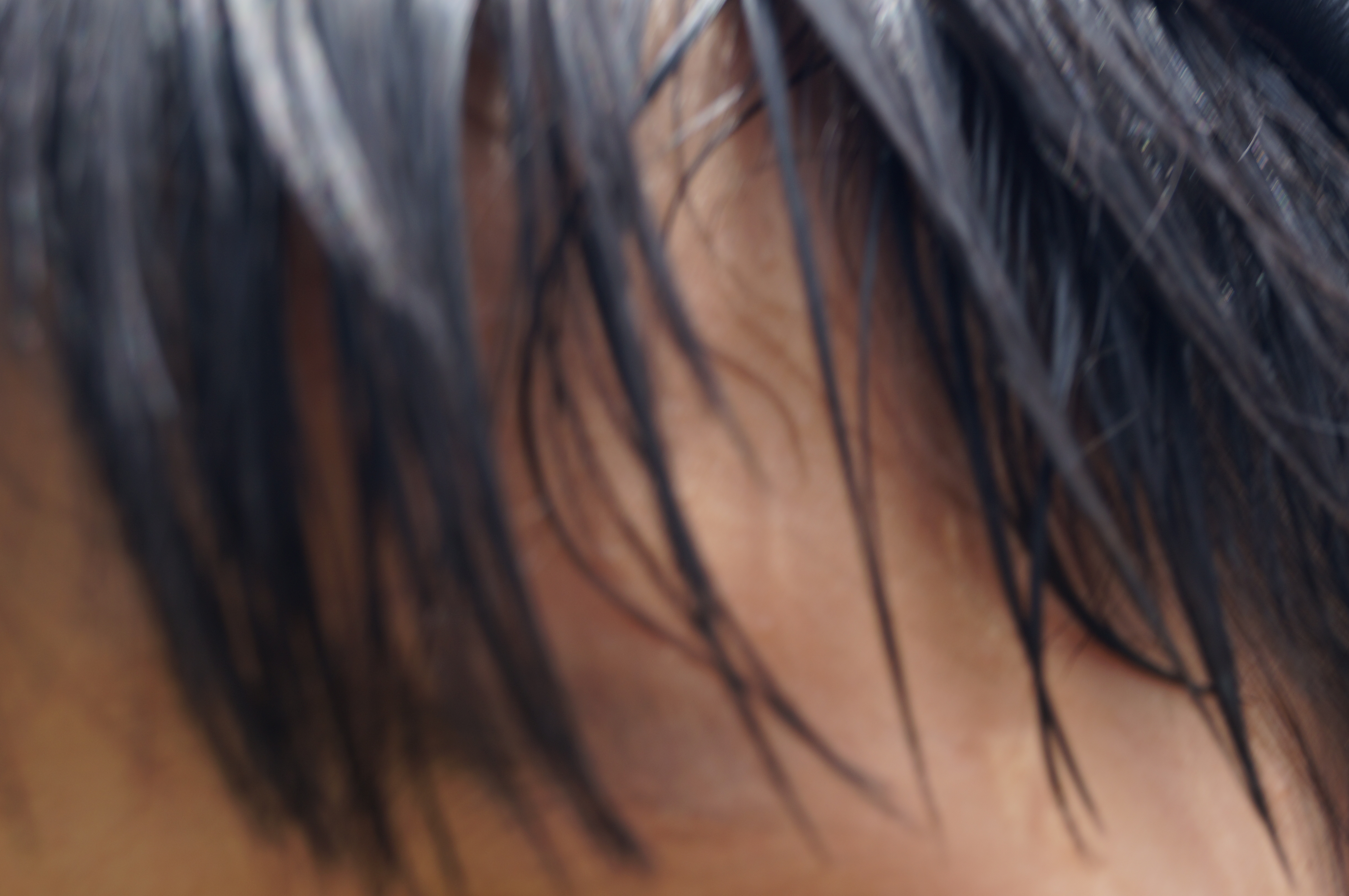 DSC03461.JPG
