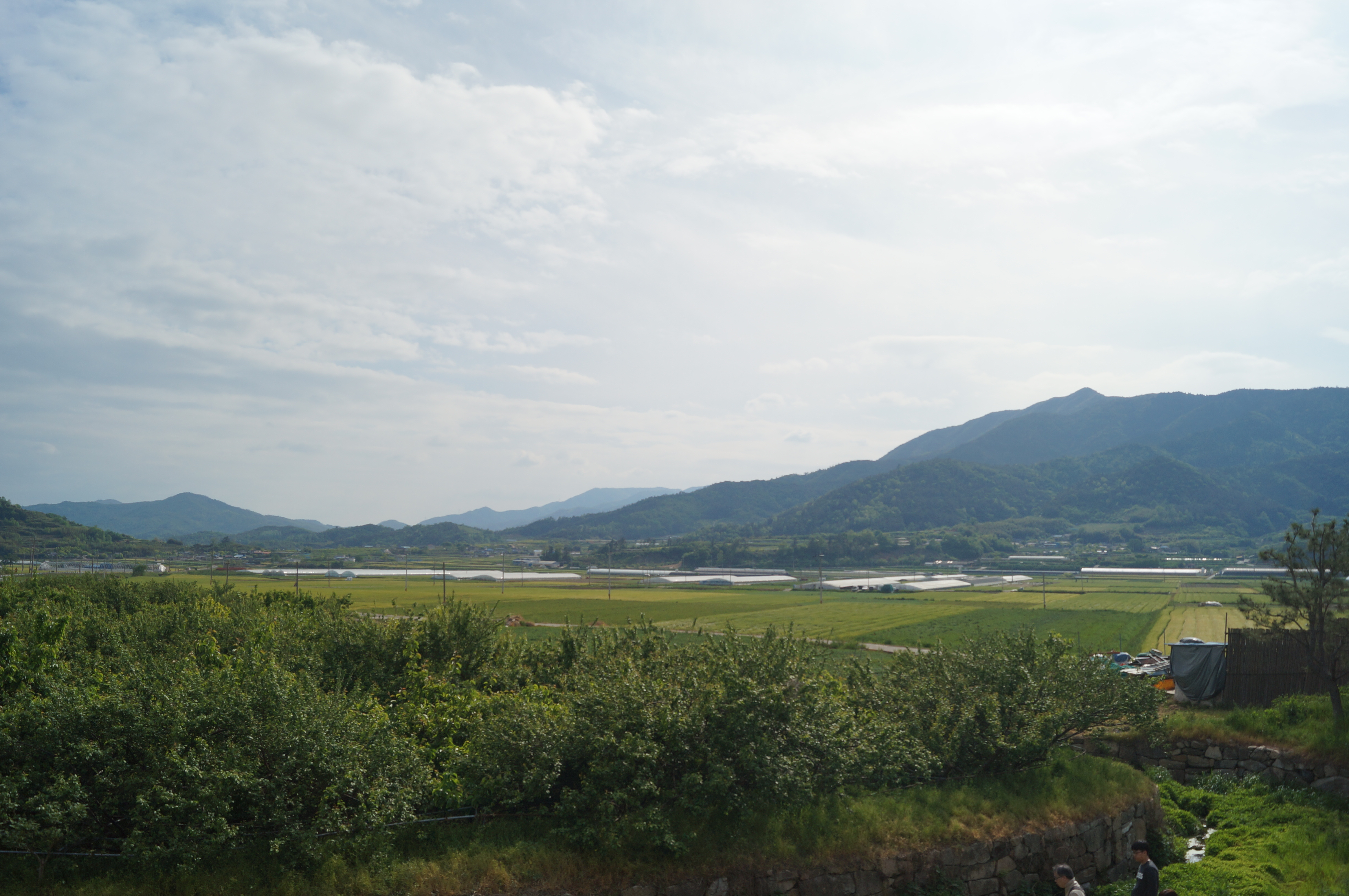 DSC03573.JPG