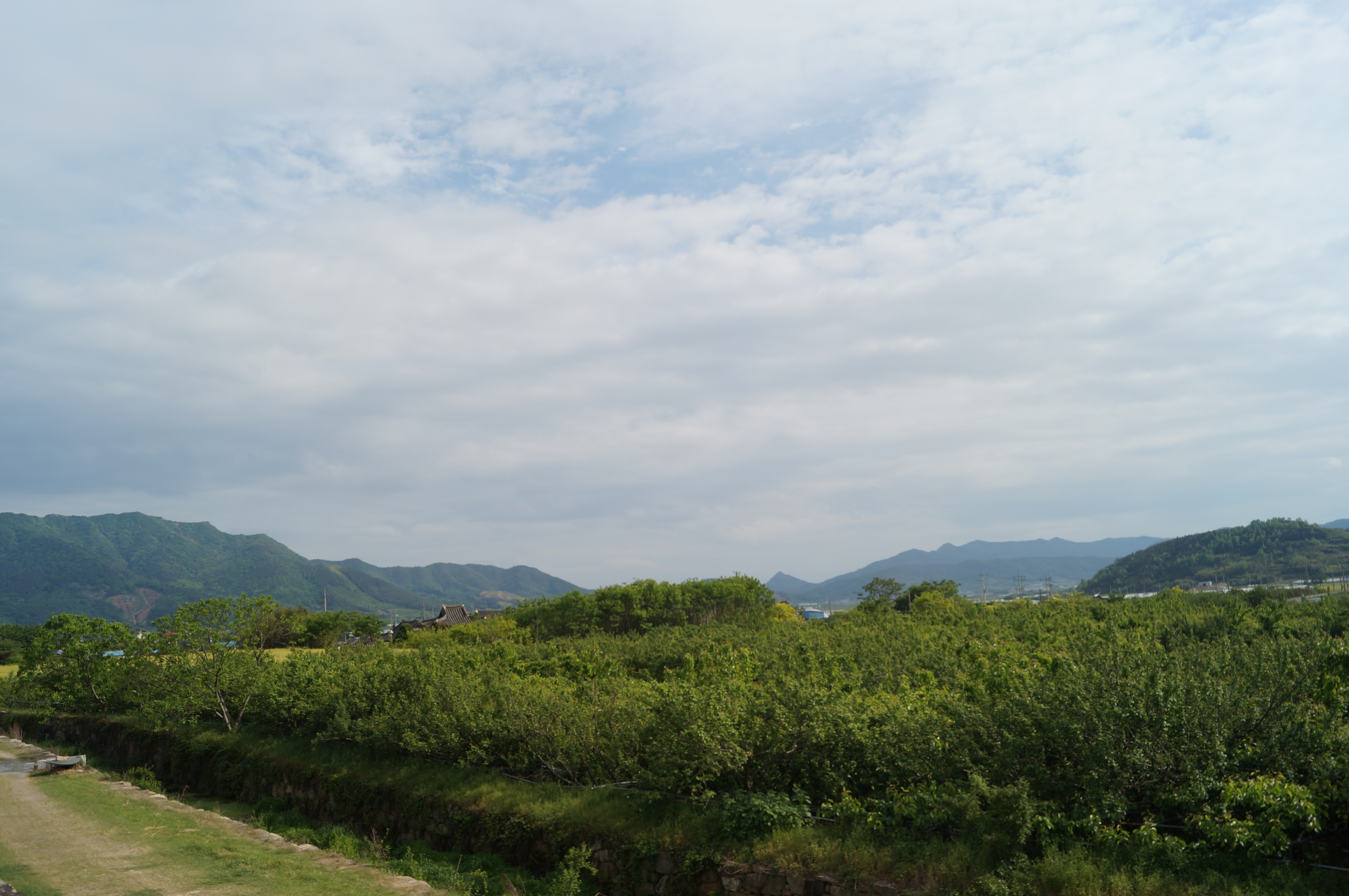 DSC03574.JPG