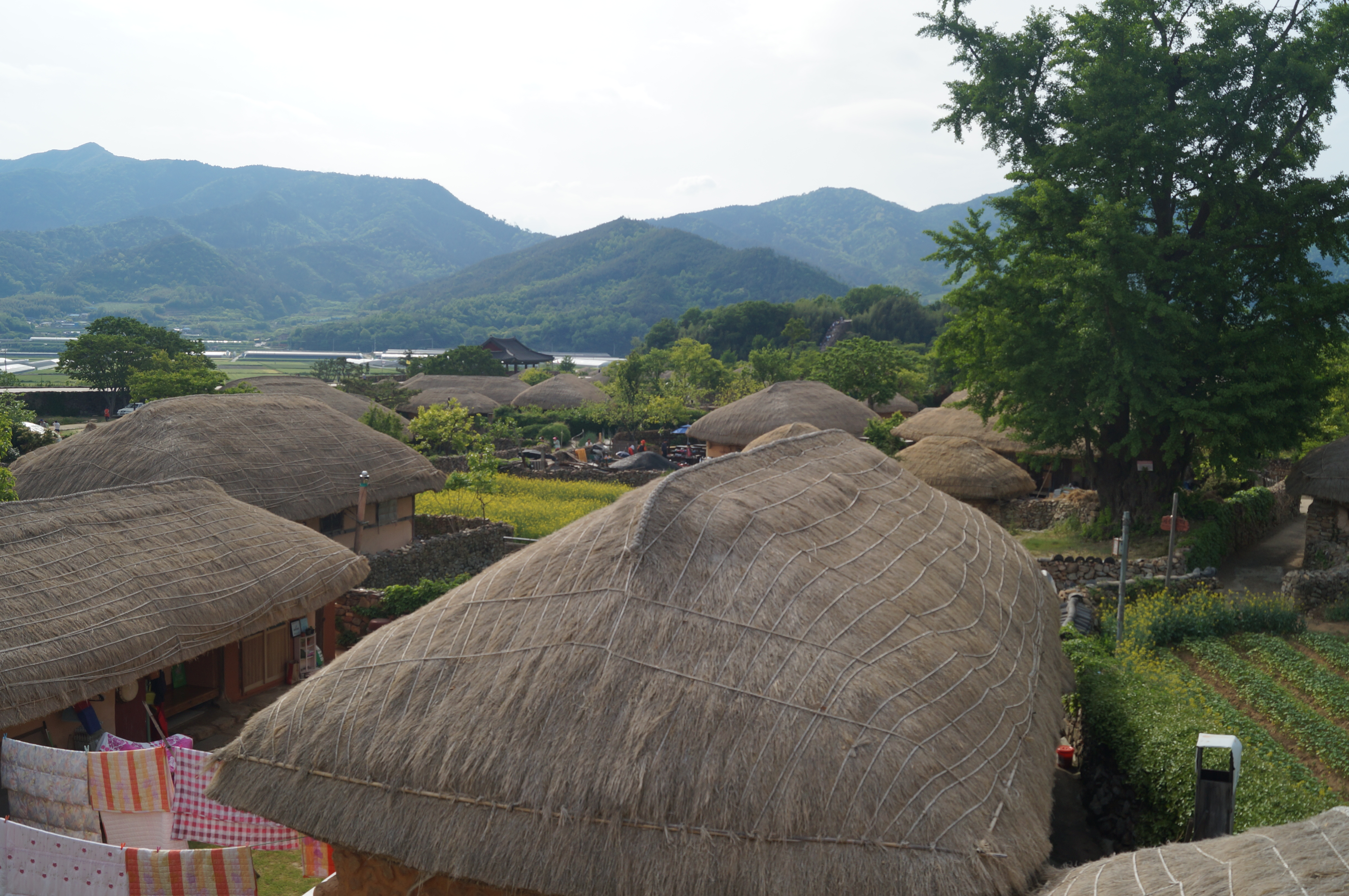 DSC03585.JPG