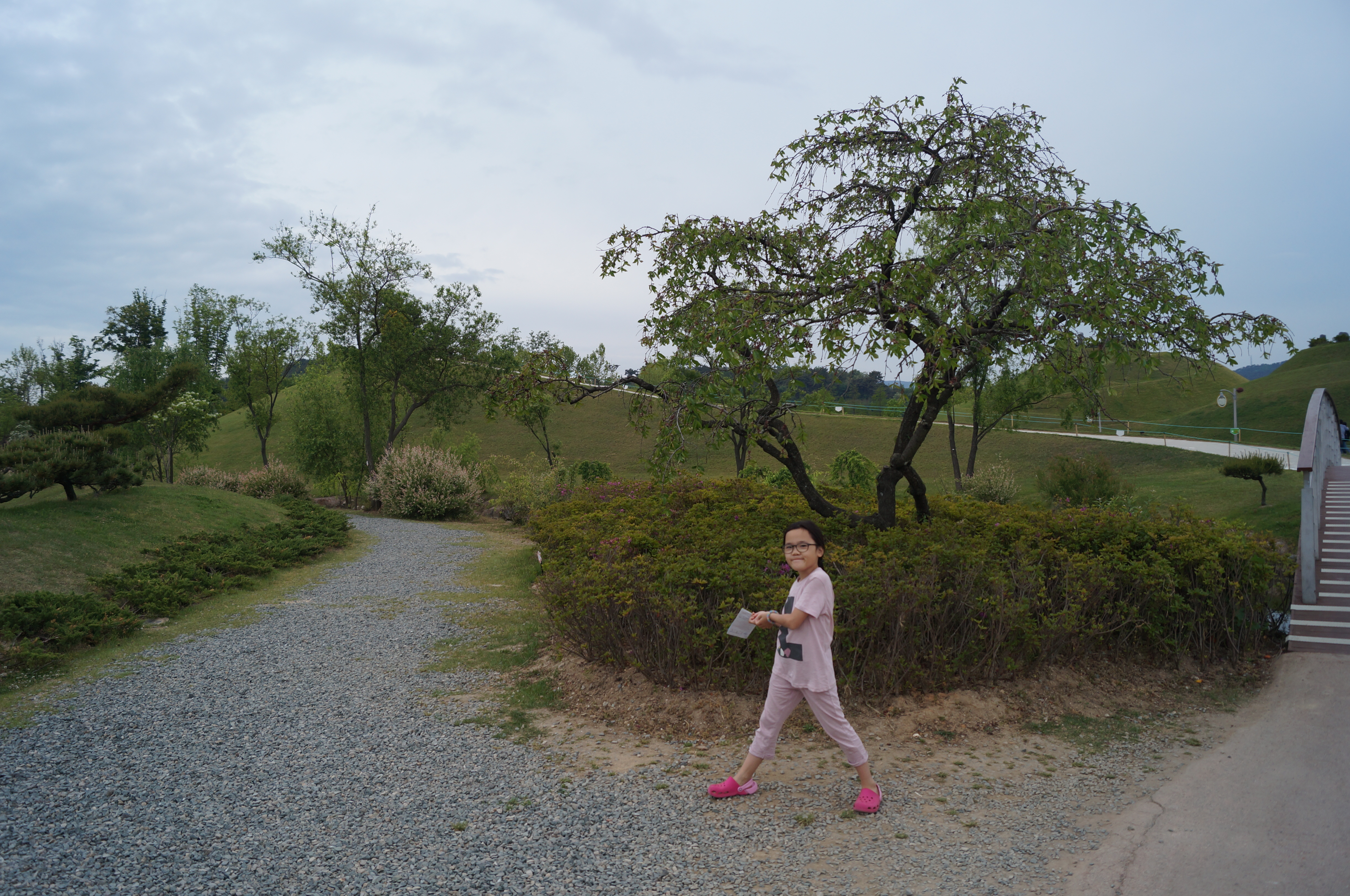 DSC03604.JPG
