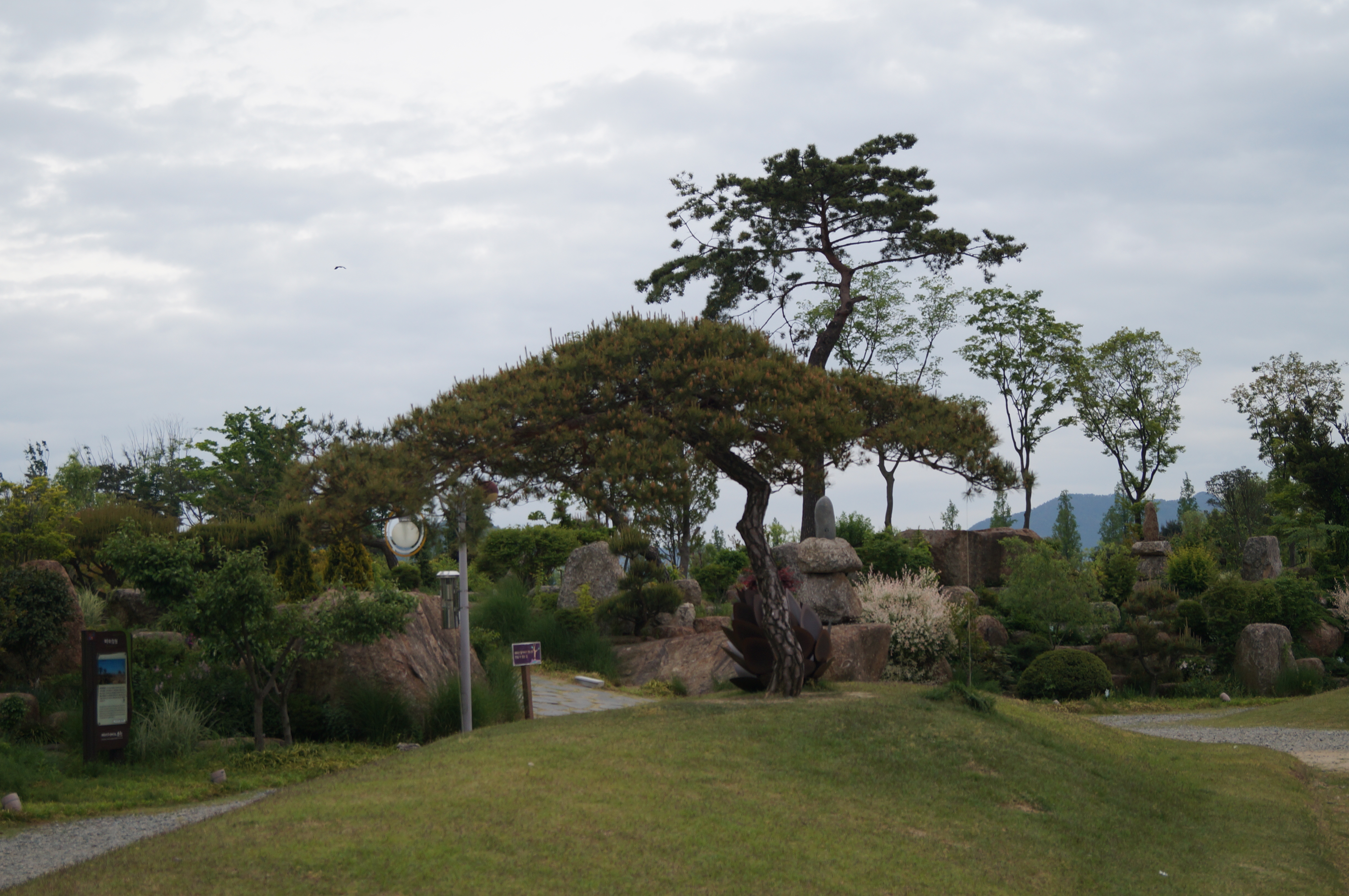 DSC03608.JPG