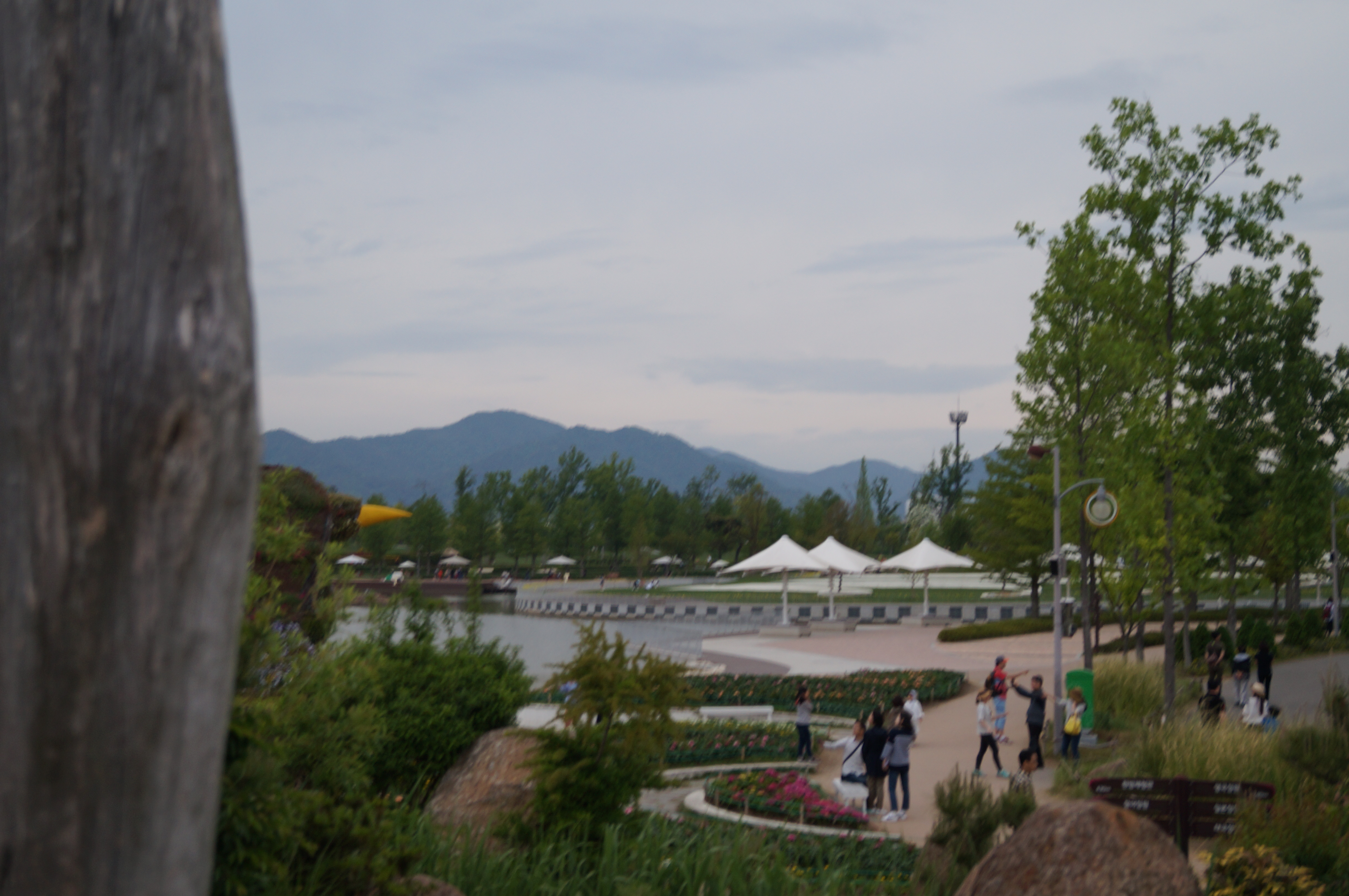 DSC03625.JPG