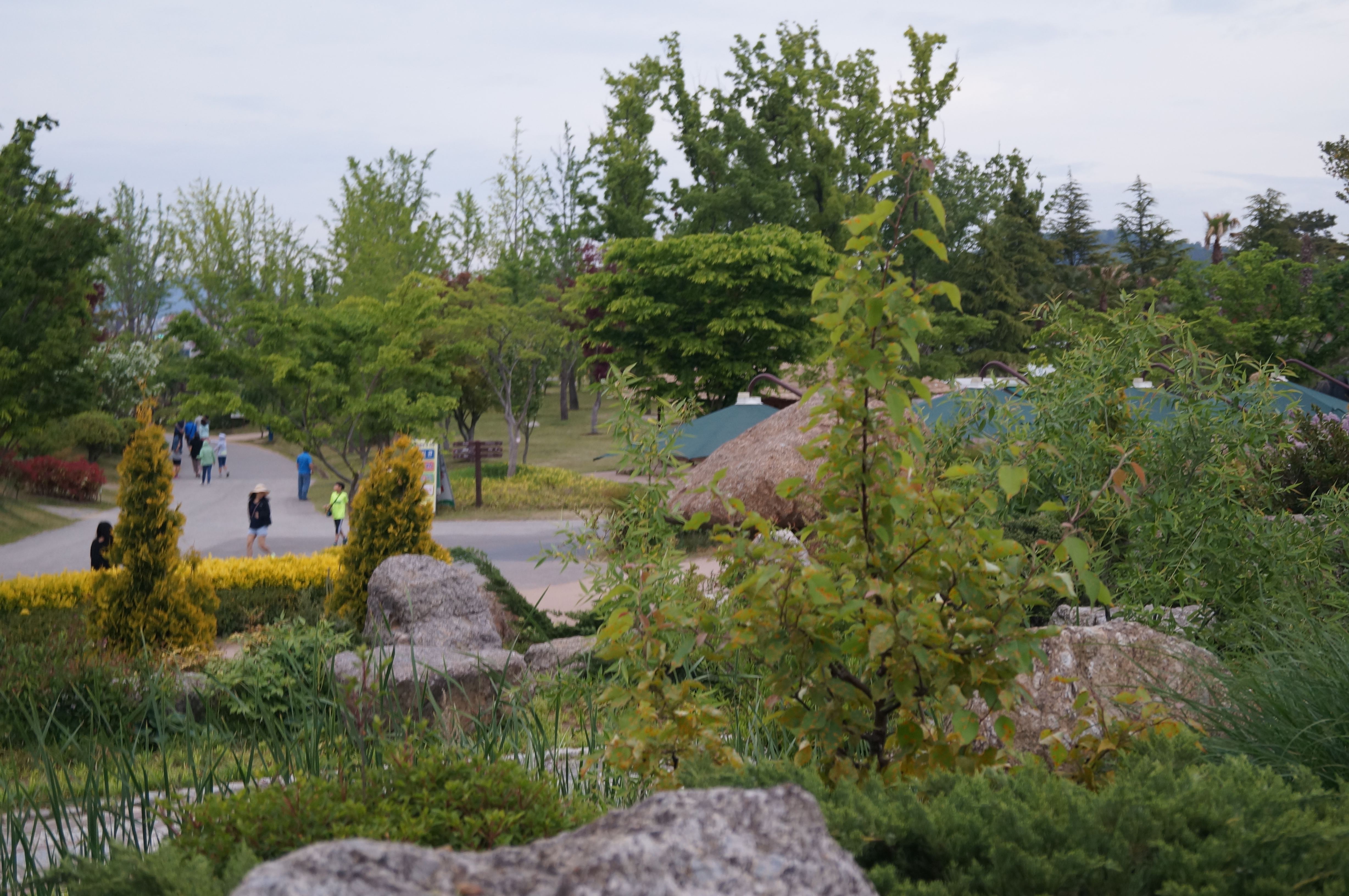 DSC03627.JPG