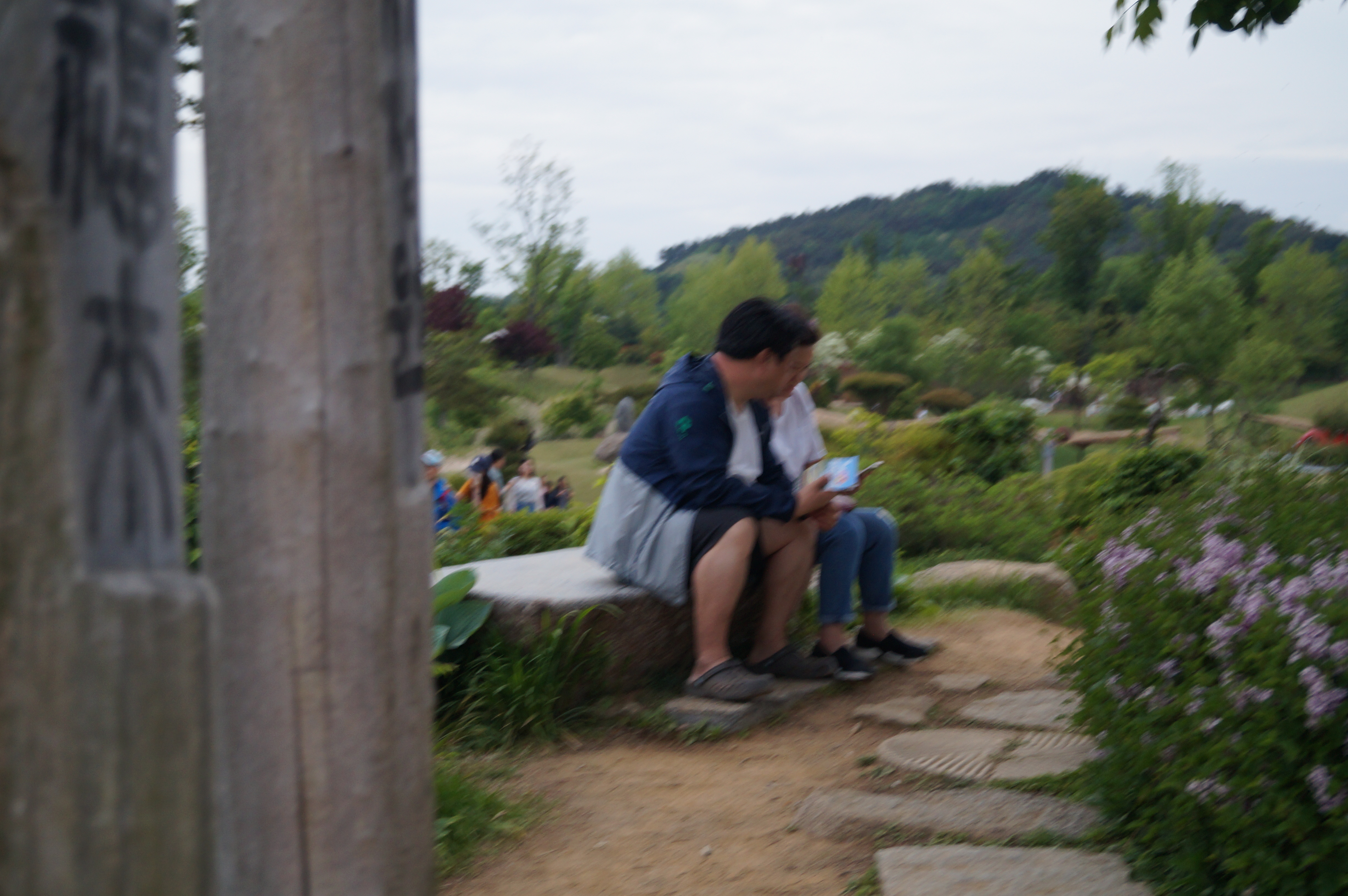 DSC03629.JPG